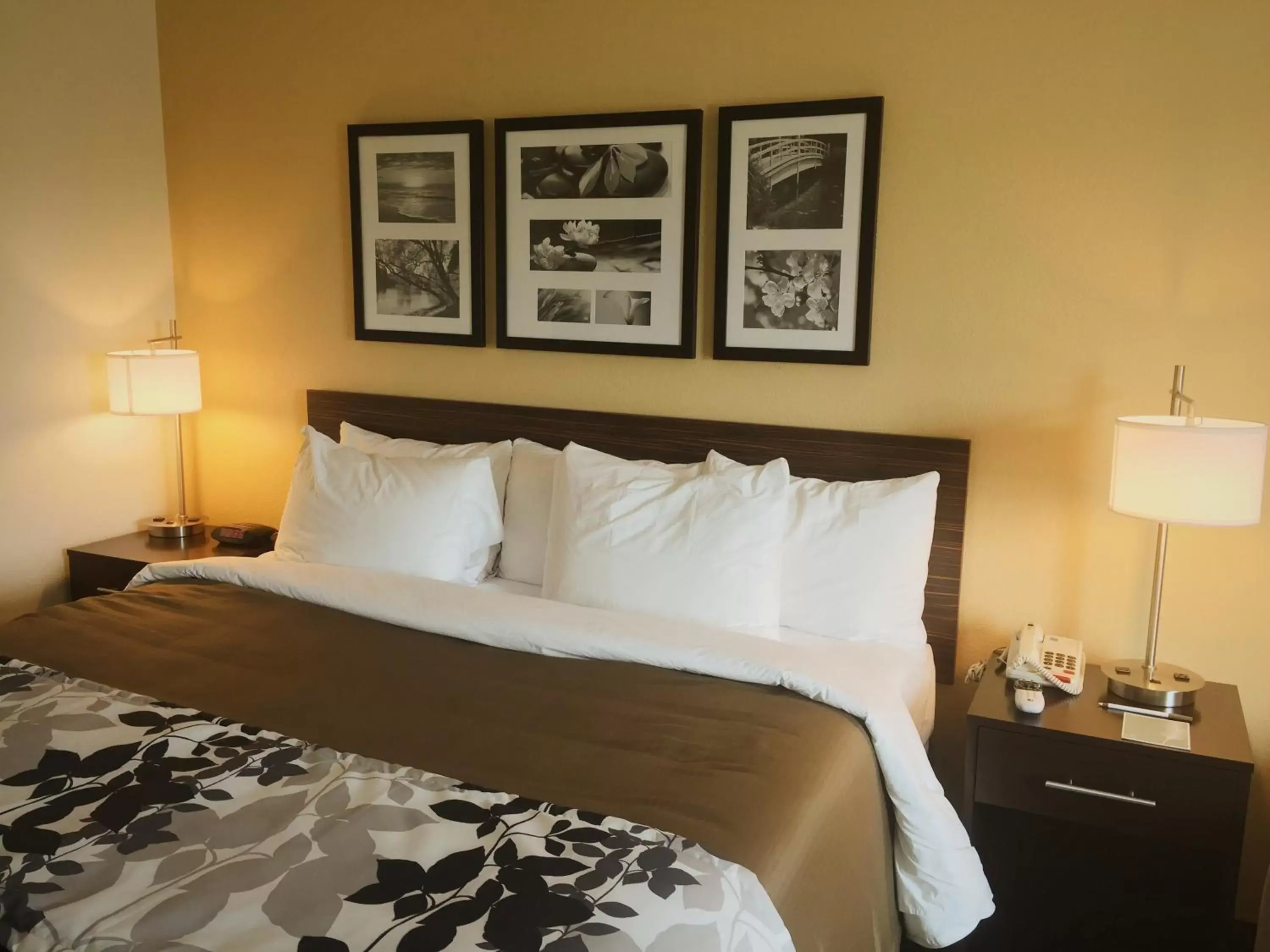 Bedroom, Bed in Sleep Inn & Suites Carlsbad Caverns Area