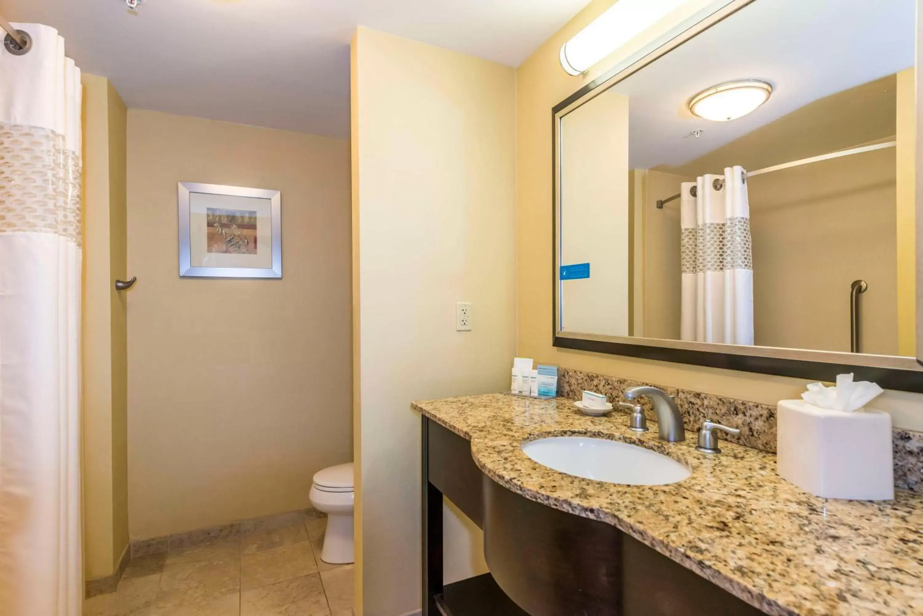 Bathroom in Hampton Inn & Suites Jacksonville South - Bartram Park