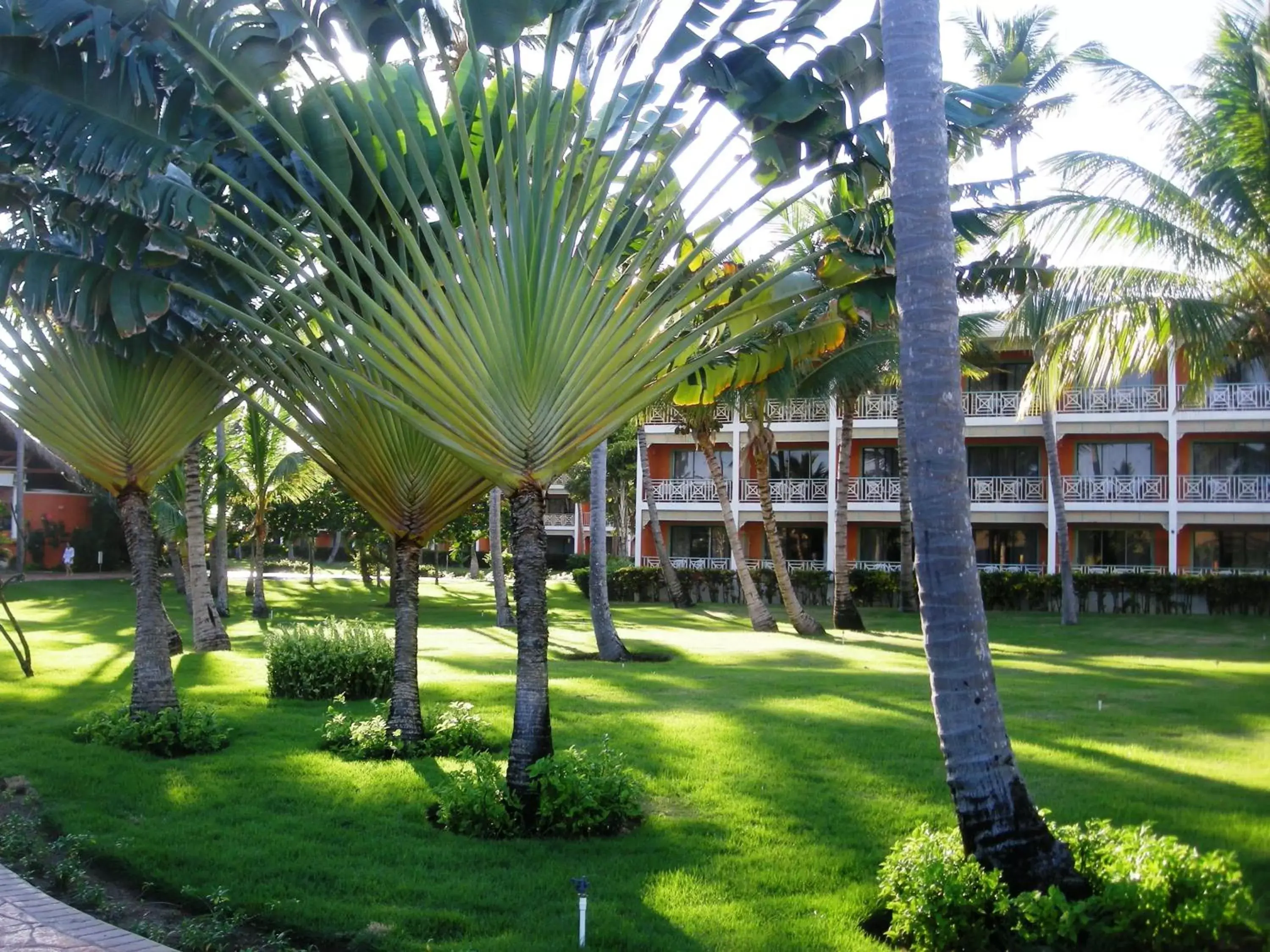 Garden view, Garden in VIK hotel Arena Blanca