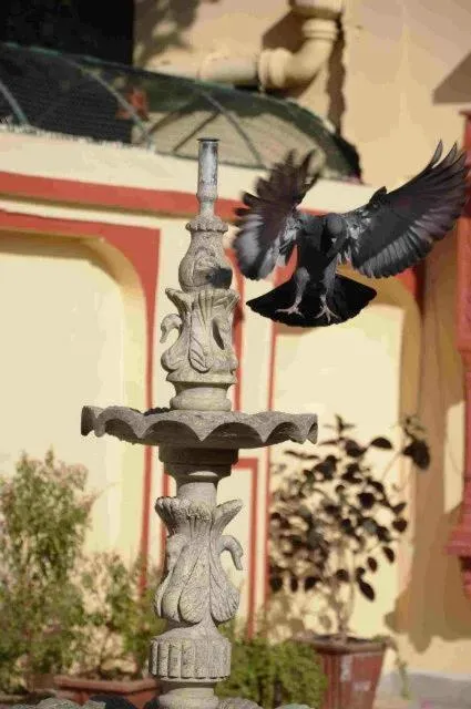 Decorative detail in Rawla Mrignayani Palace