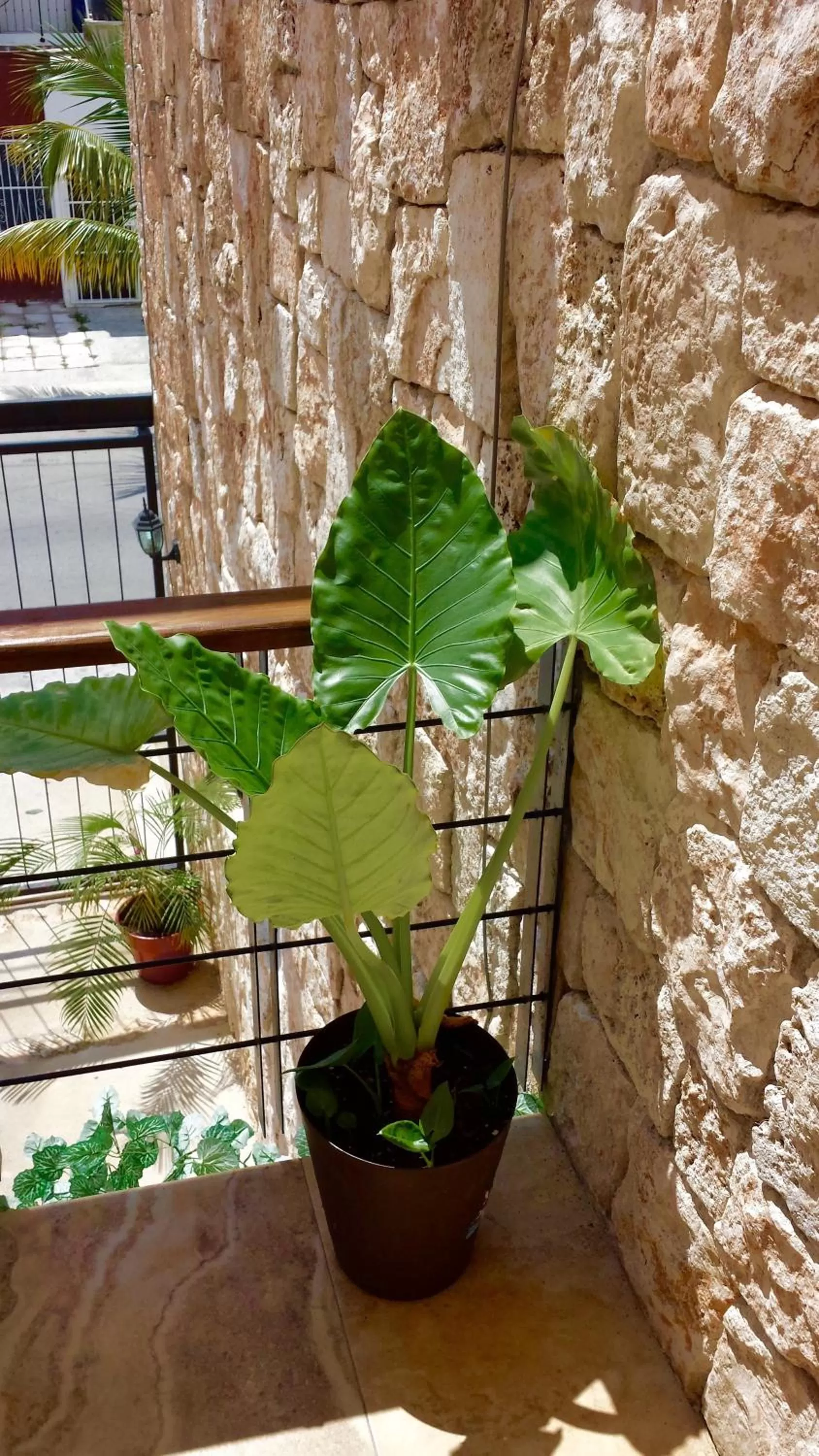 Decorative detail in Maya Vacanze Playa Natural