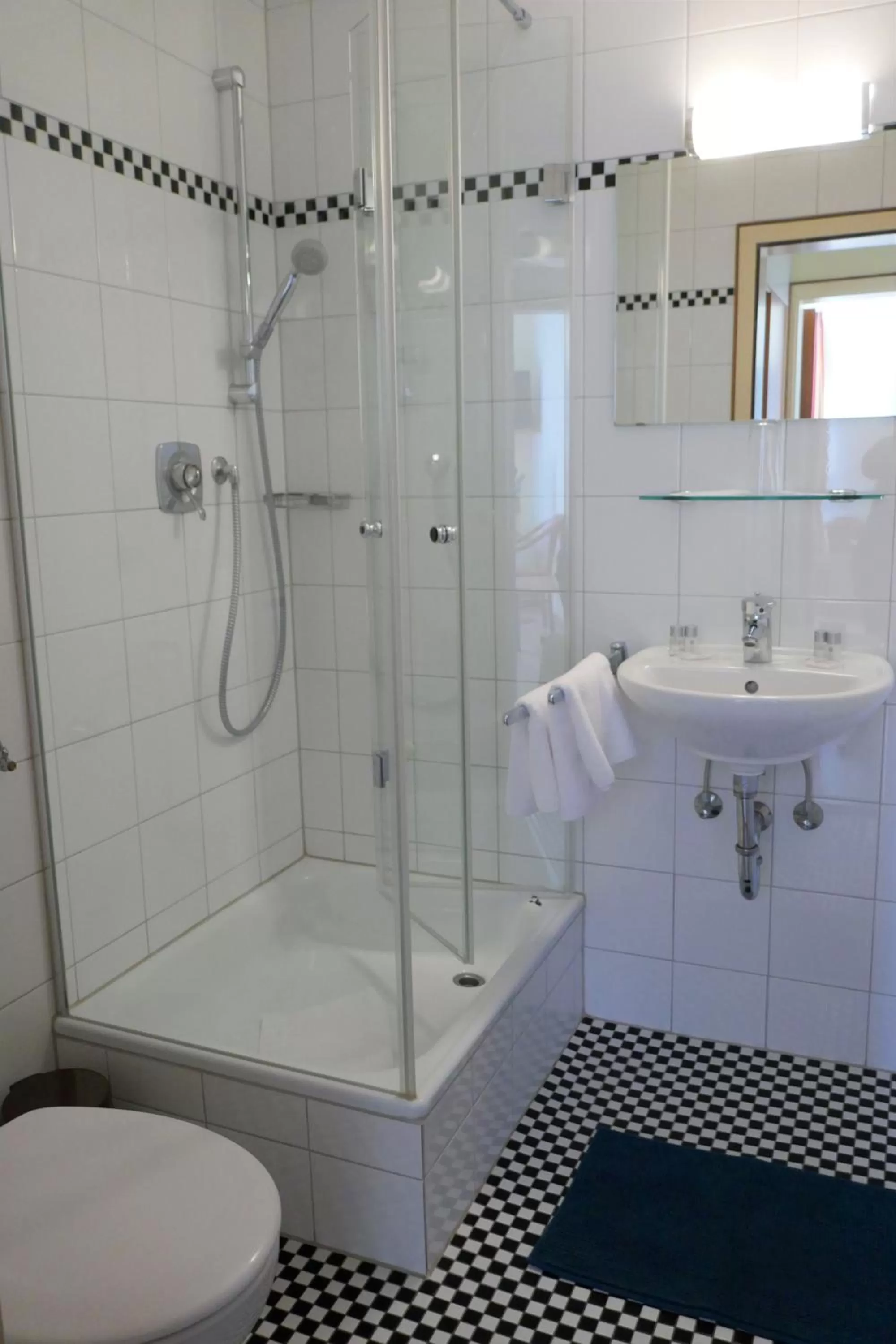 Single Room with Private Bathroom in Hotel Bischoff