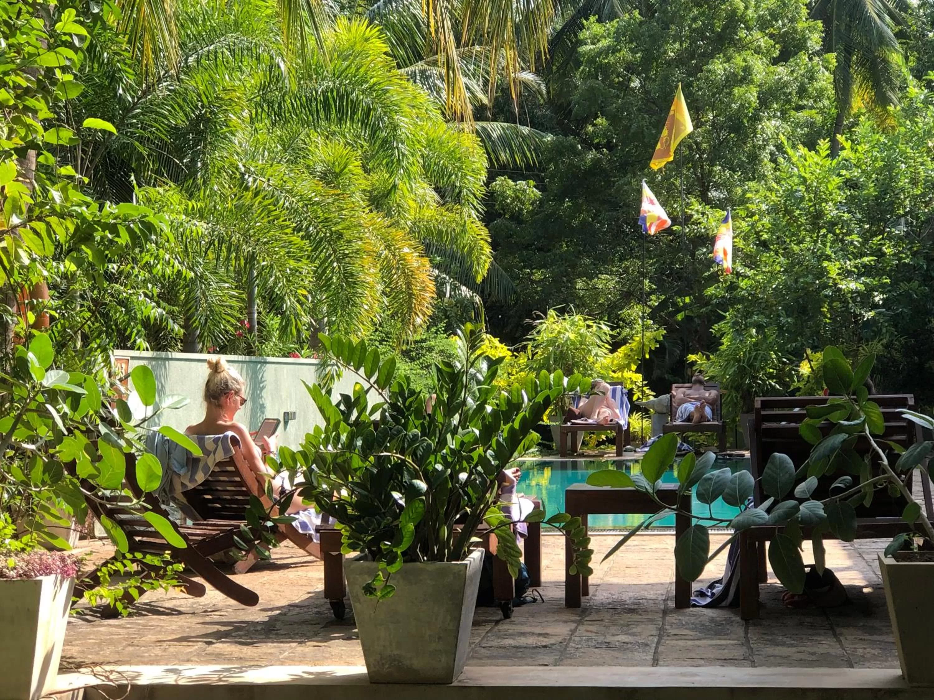 Natural landscape in Hotel Heladiv