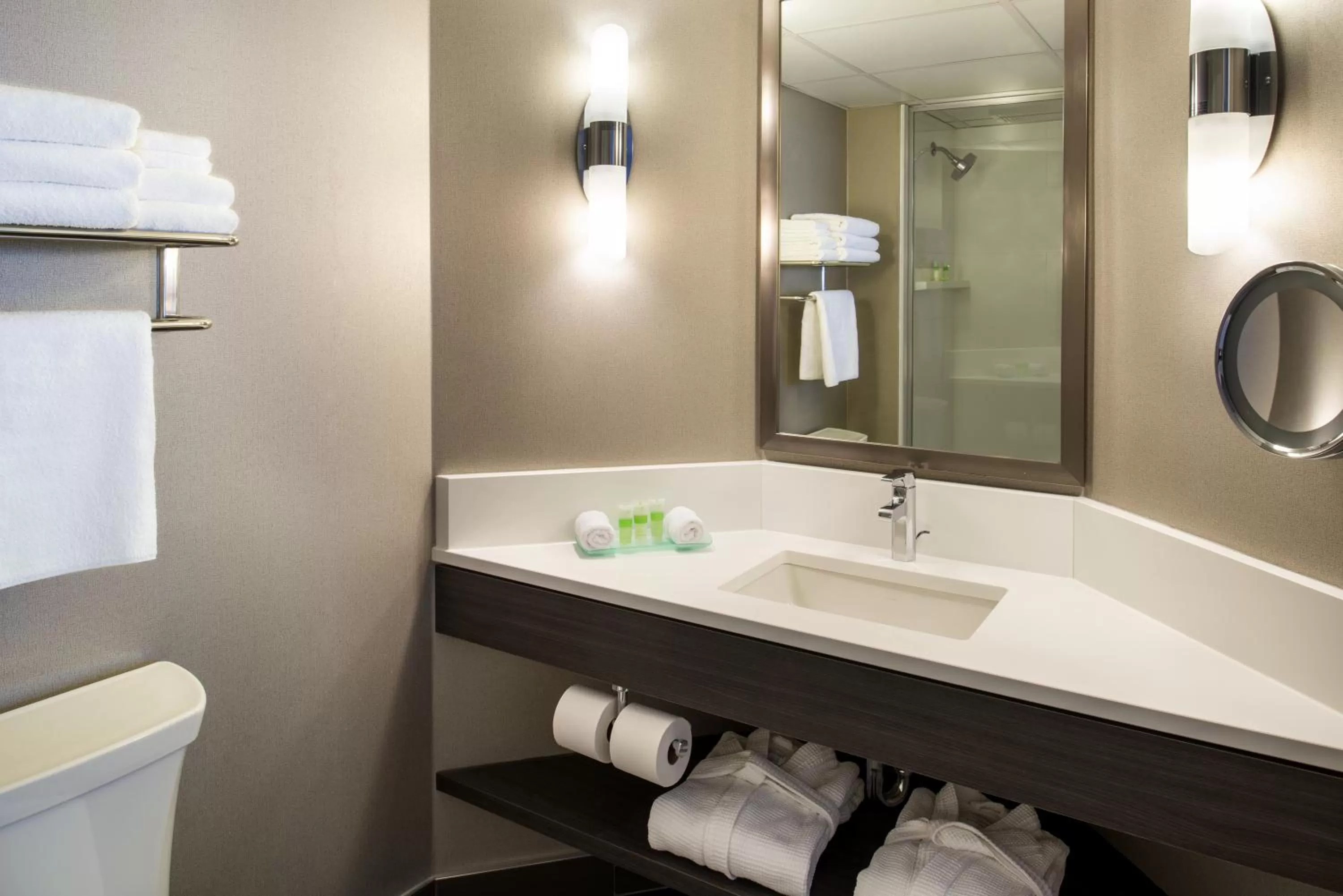 Bathroom in Saskatoon Inn & Conference Centre