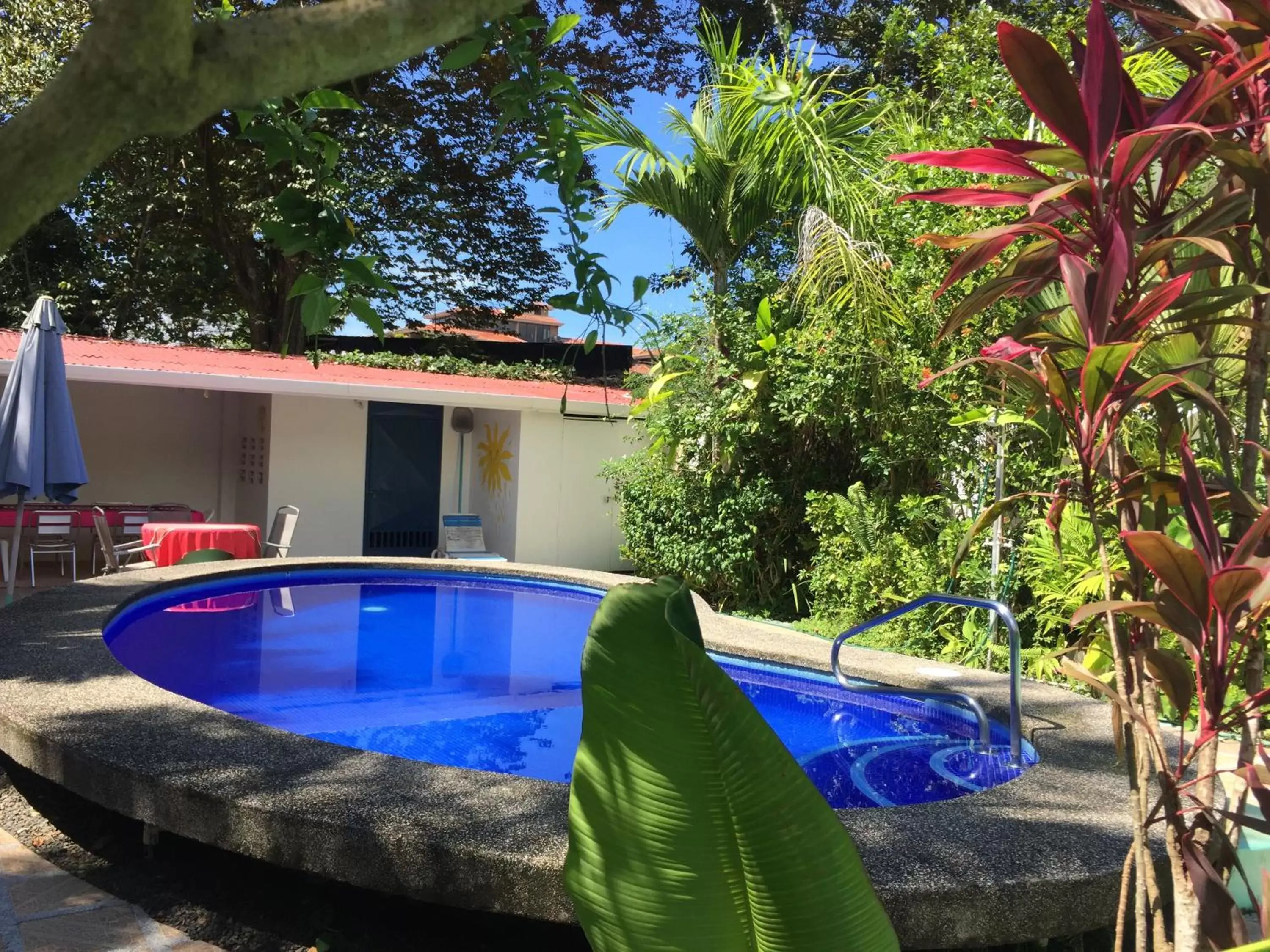 Pool view, Swimming Pool in La Perlita