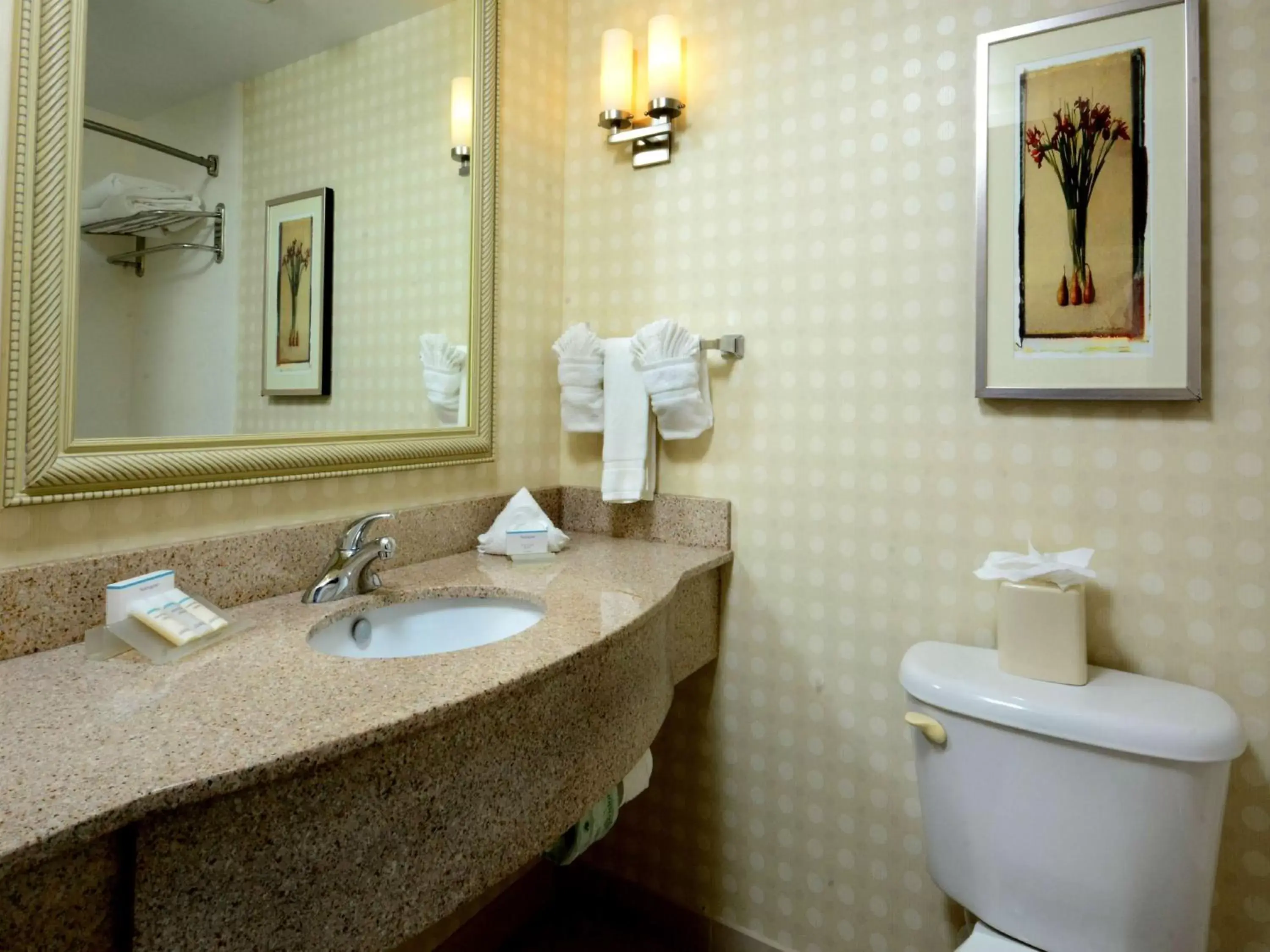 Bathroom in Hilton Garden Inn Raleigh Capital Blvd I-540