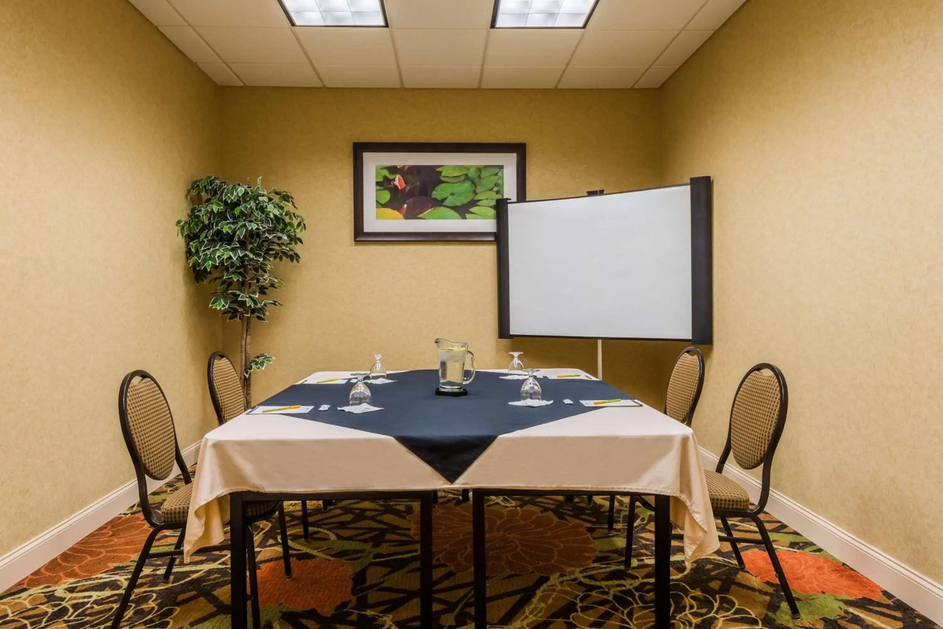 Meeting/conference room in Hilton Garden Inn Buffalo Airport