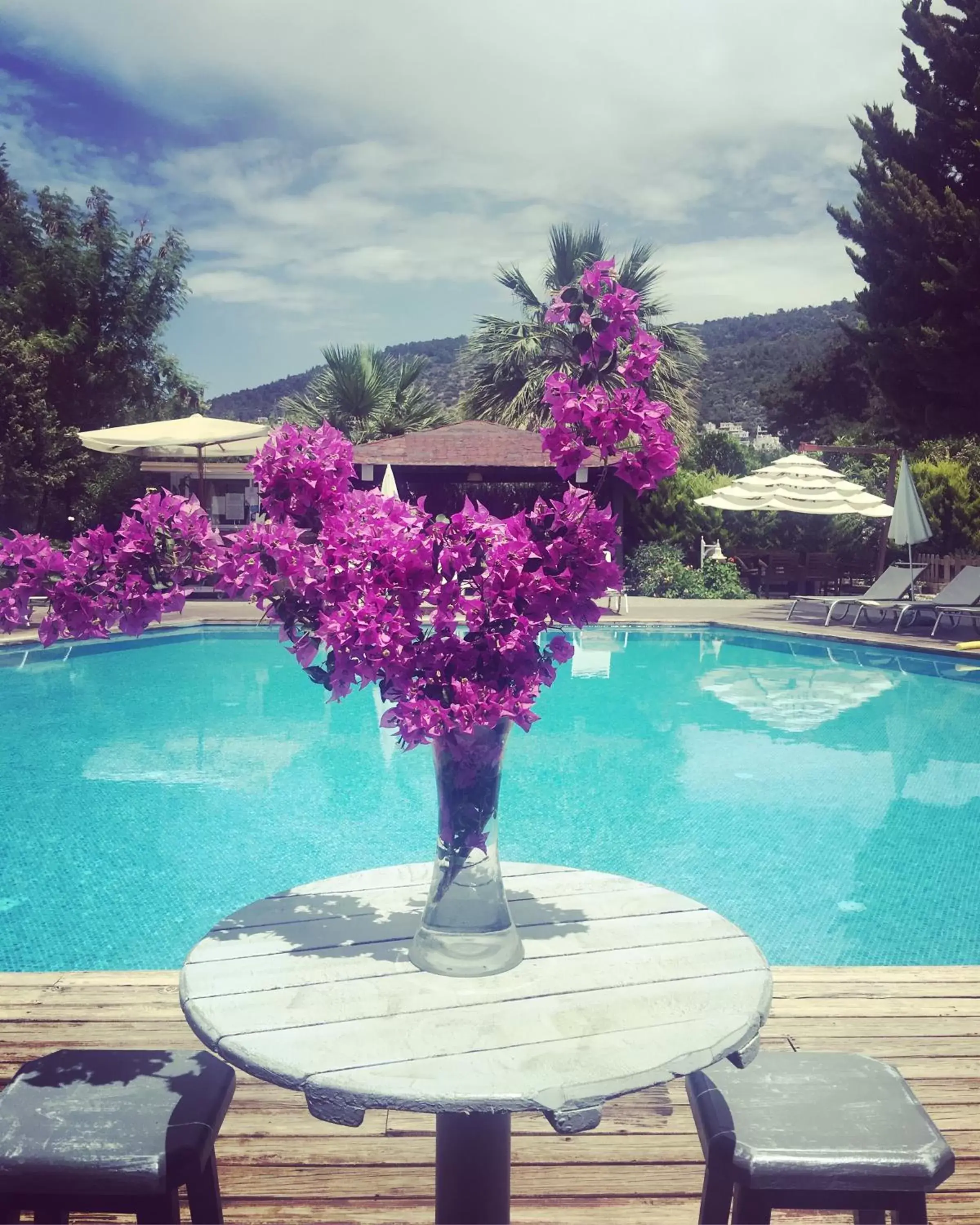 Pool view, Swimming Pool in Costa Bodrum City