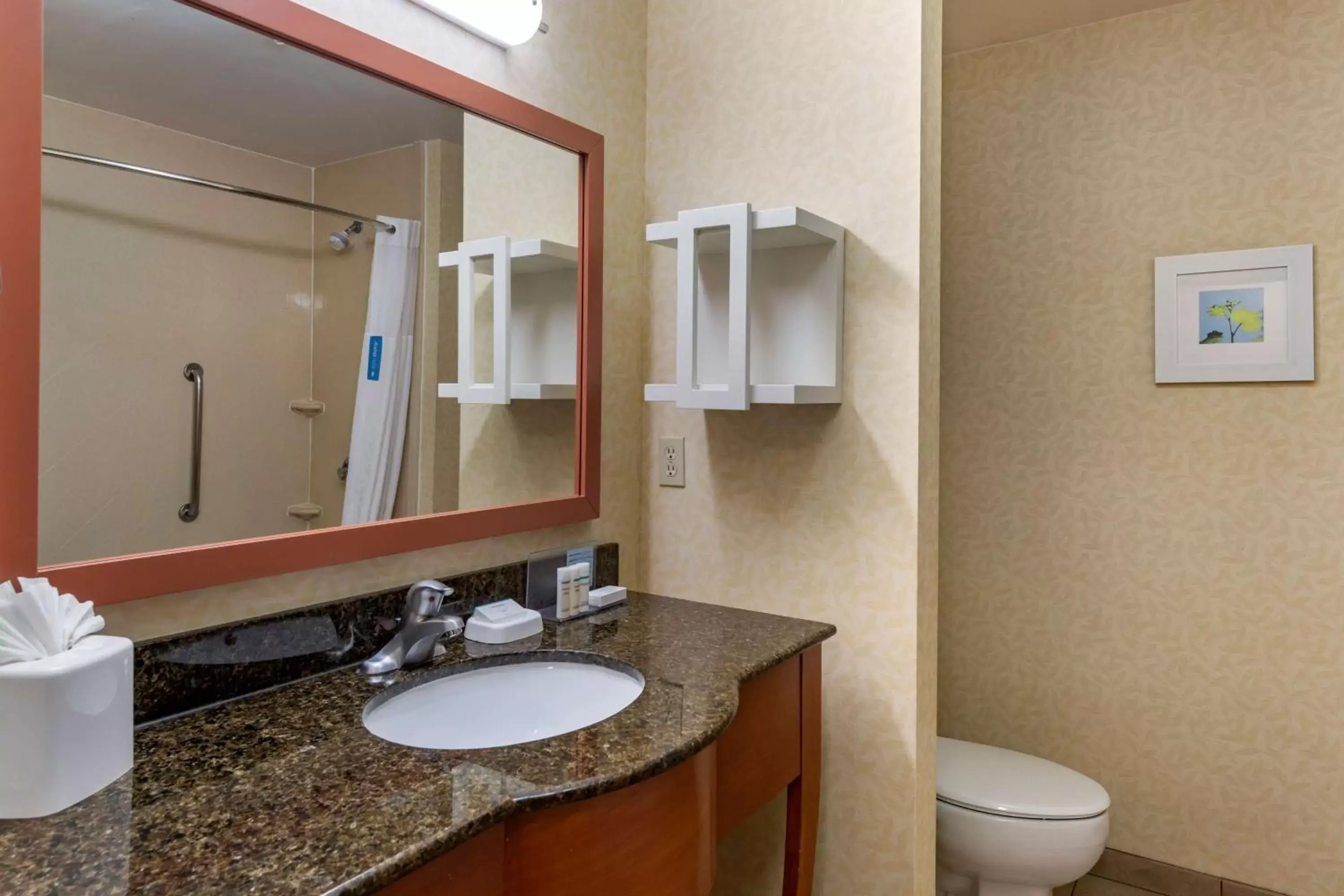 Bathroom in Hampton Inn Norco/Corona