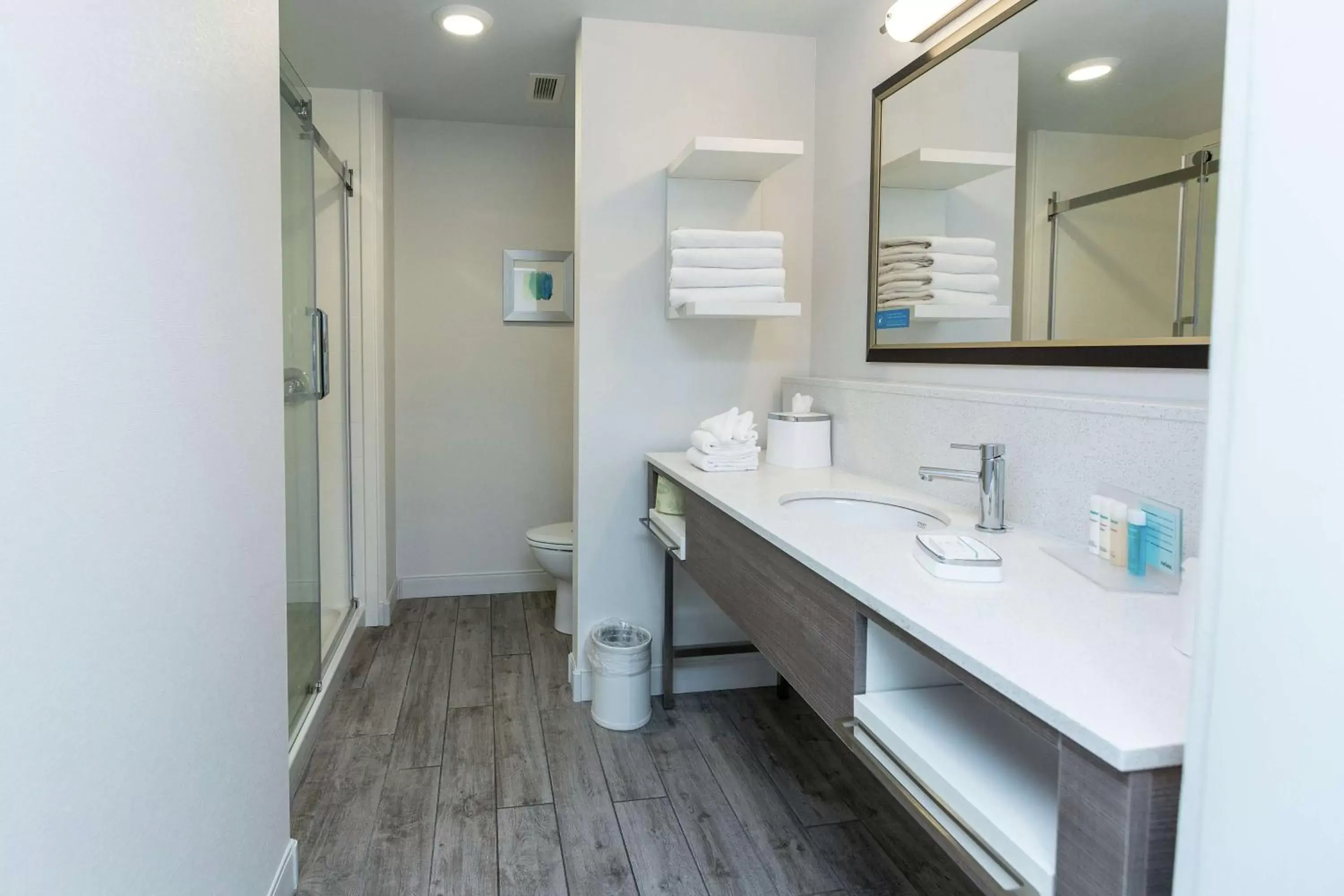 Bathroom in Hampton Inn & Suites Syracuse North Airport Area