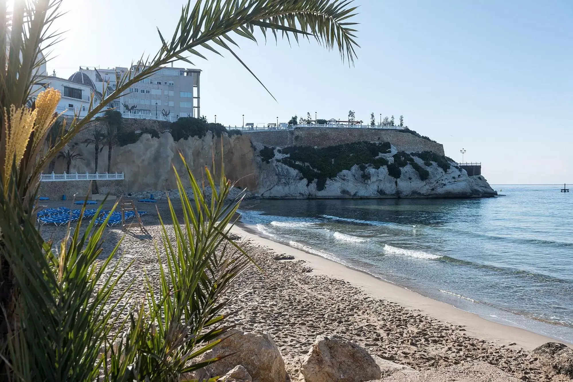 Neighbourhood, Beach in Hotel Roca-Mar