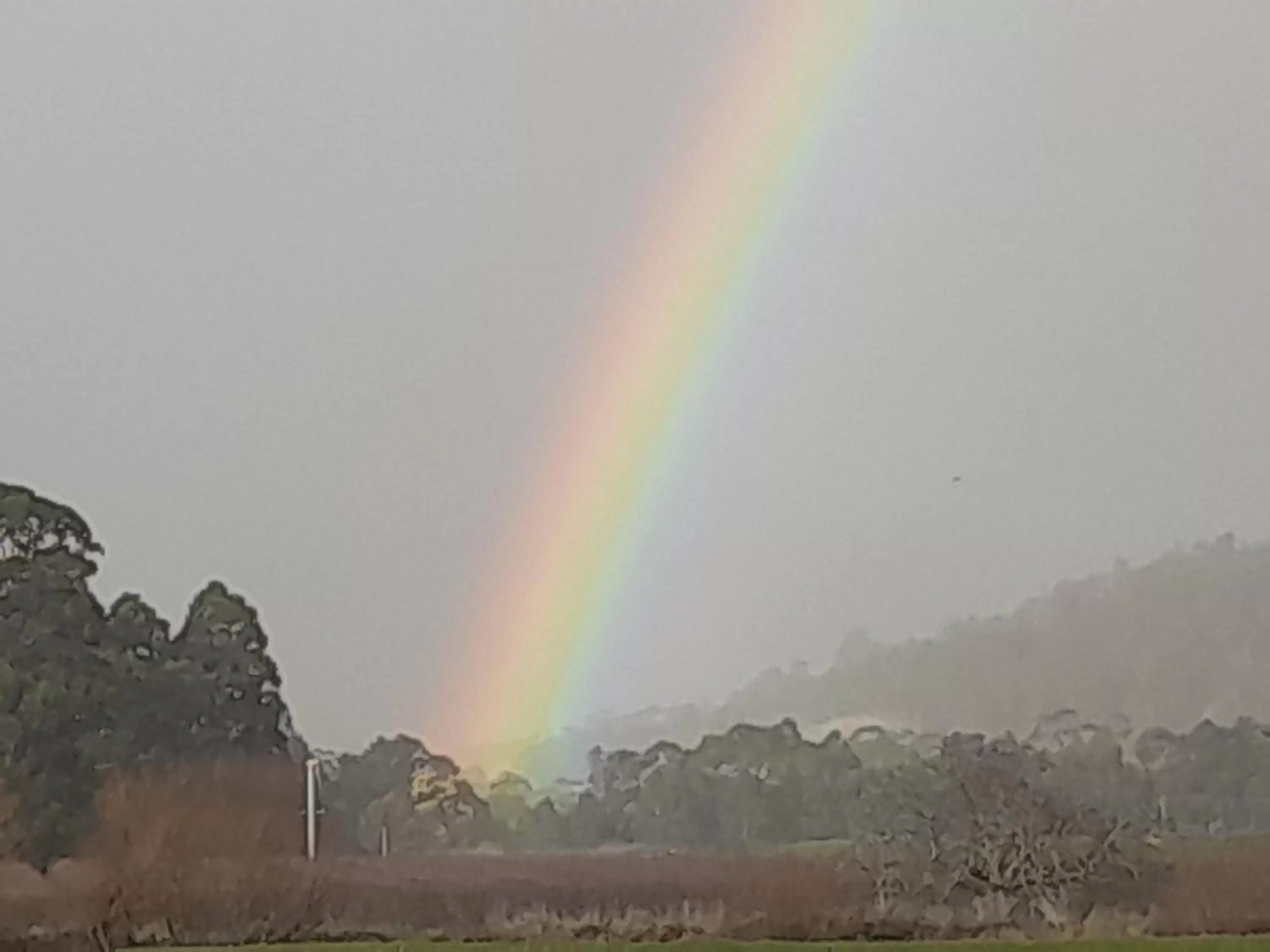 Hillside Bed and Breakfast