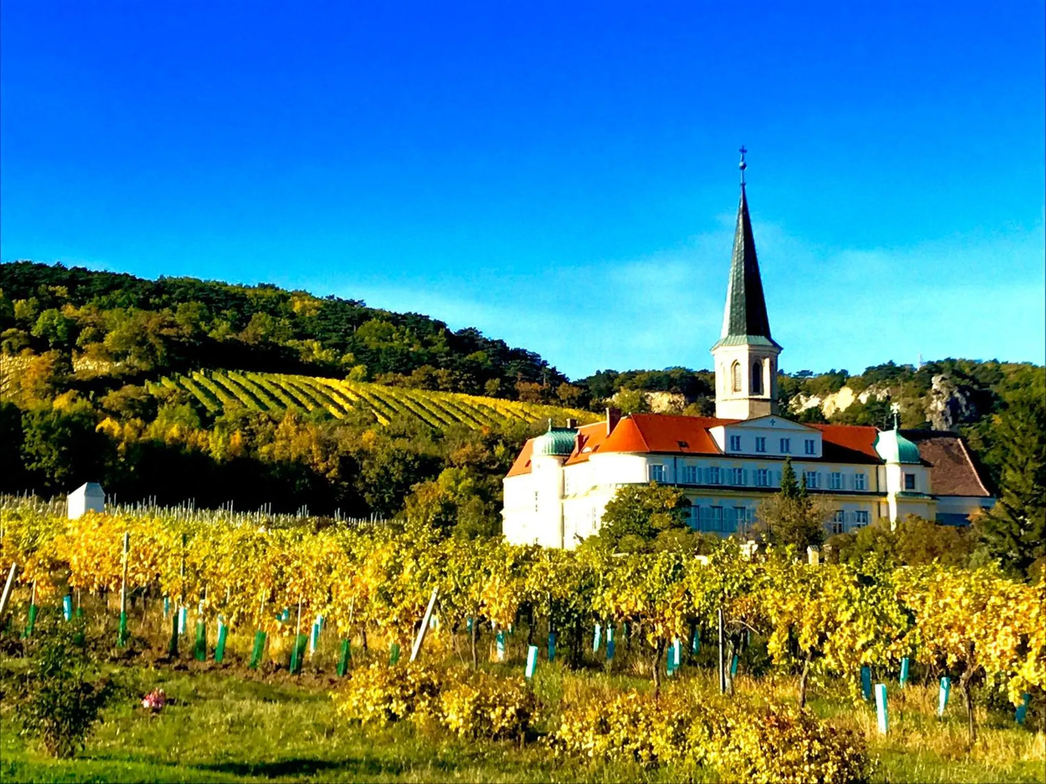Nearby landmark in Hotel Landhaus Moserhof