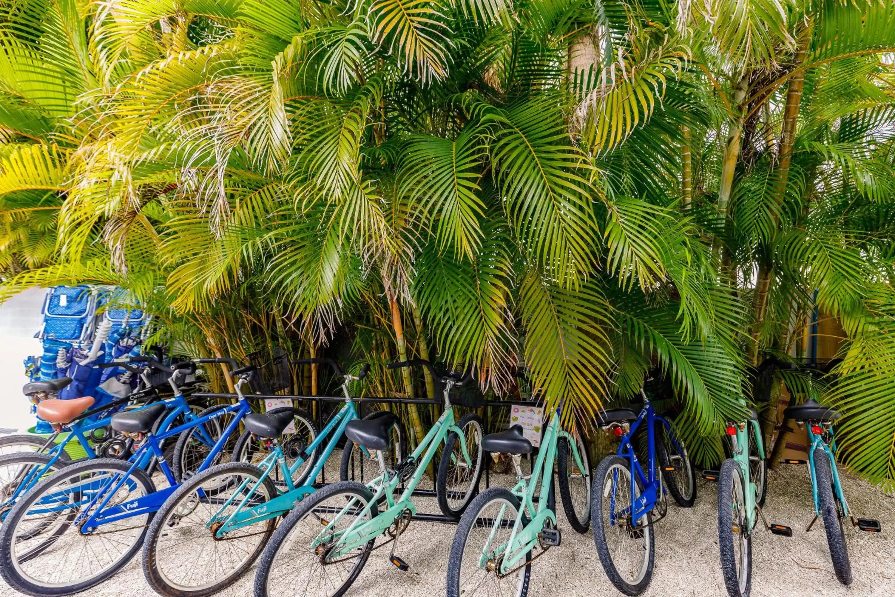 Cycling in The Inn on Siesta Key