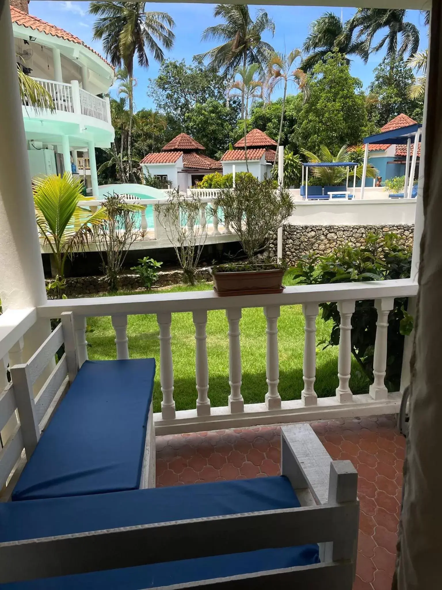 Patio, Pool View in Palms Lounge Cabarete