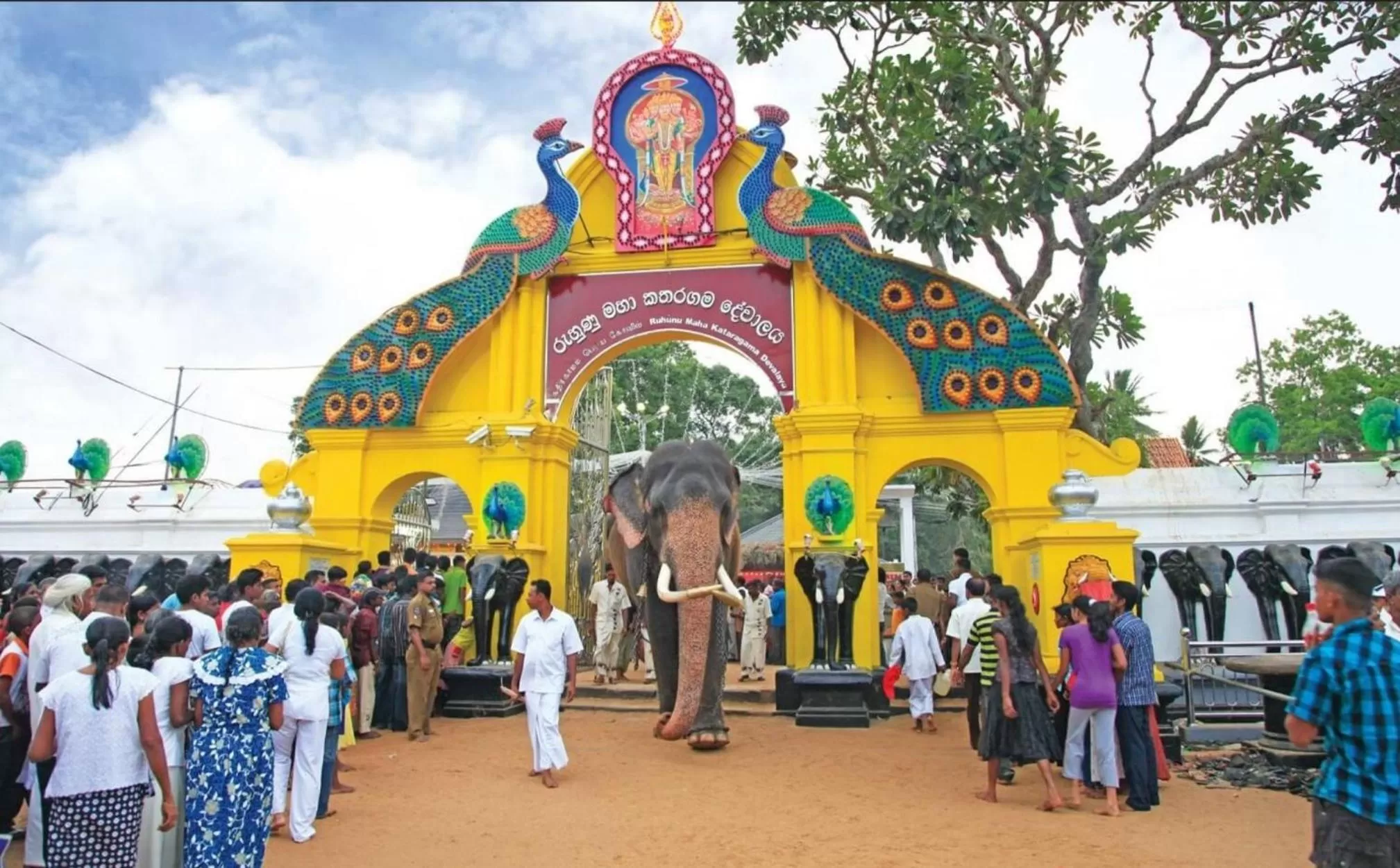 Jungle river humbhaha hostel