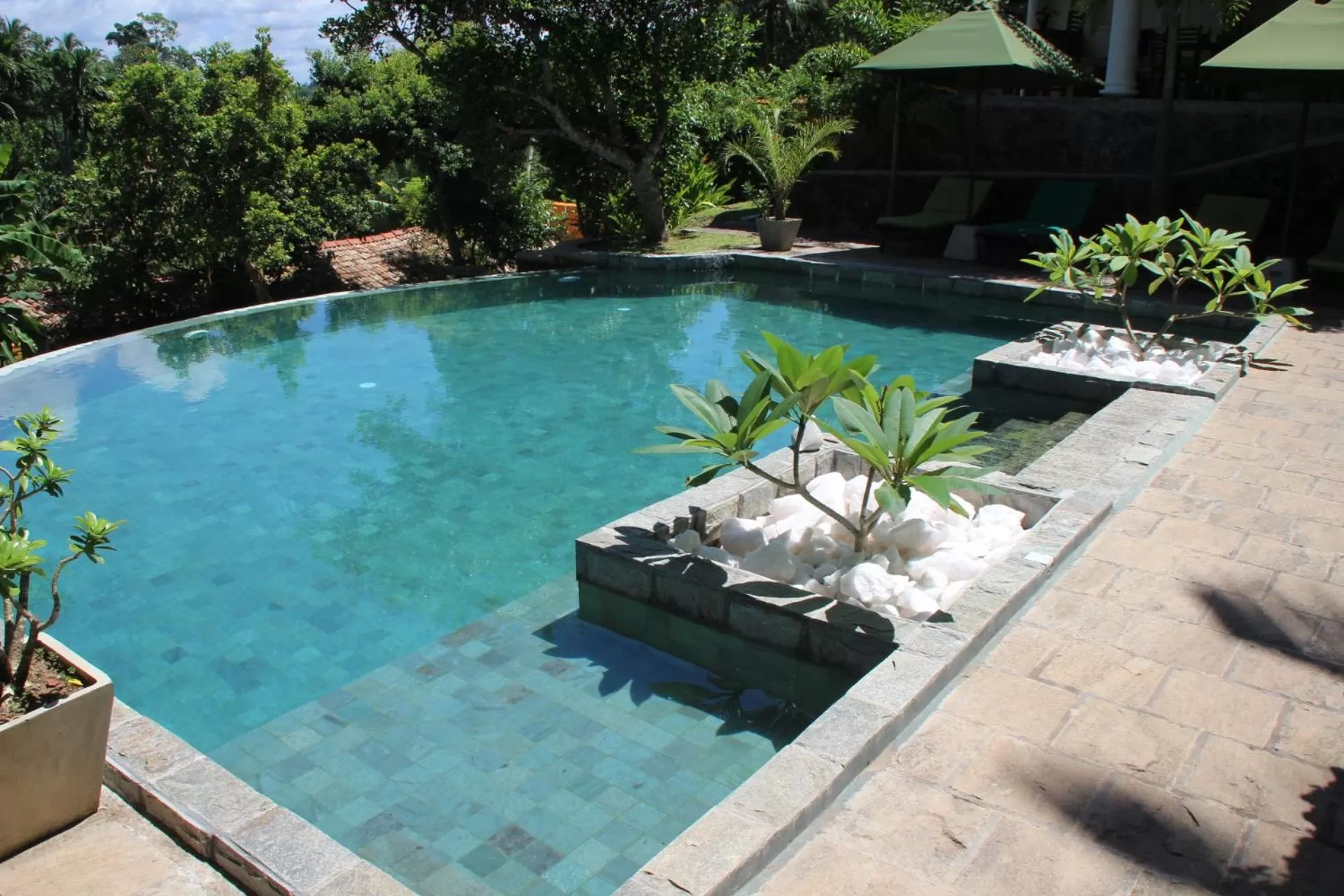 Swimming pool in The Spice House Mirissa