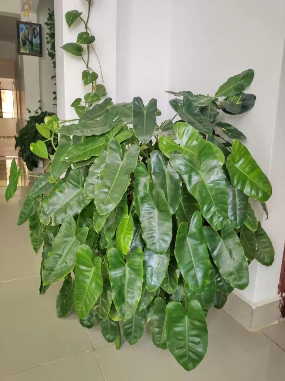 Decorative detail in 6 Park Retreat