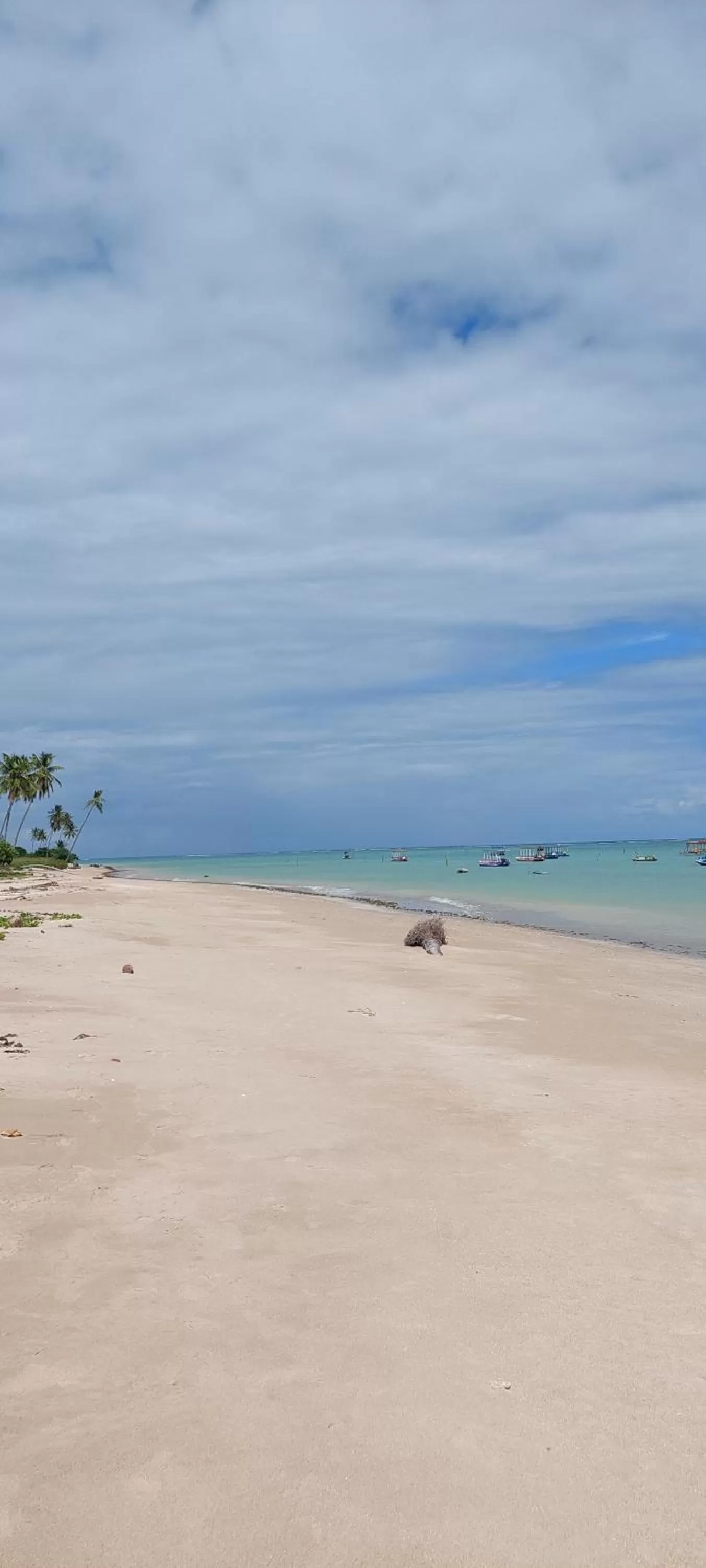 Natural landscape in Arataba Hotel Boutique e Bistrô - 150 mts do mar