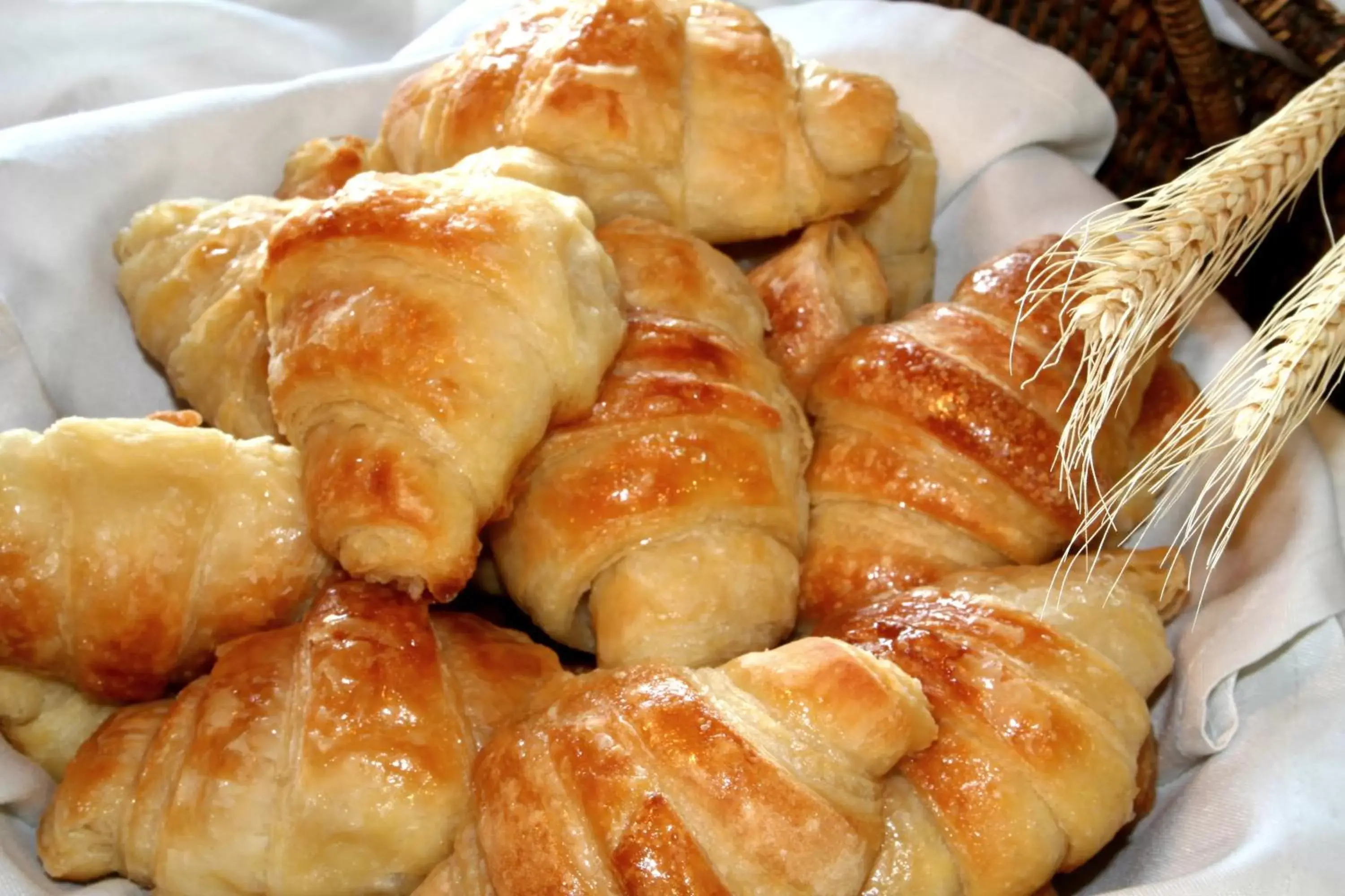 Restaurant/places to eat in Colonna Park Hotel Restaurant/places to eat in Colonna Park Hotel