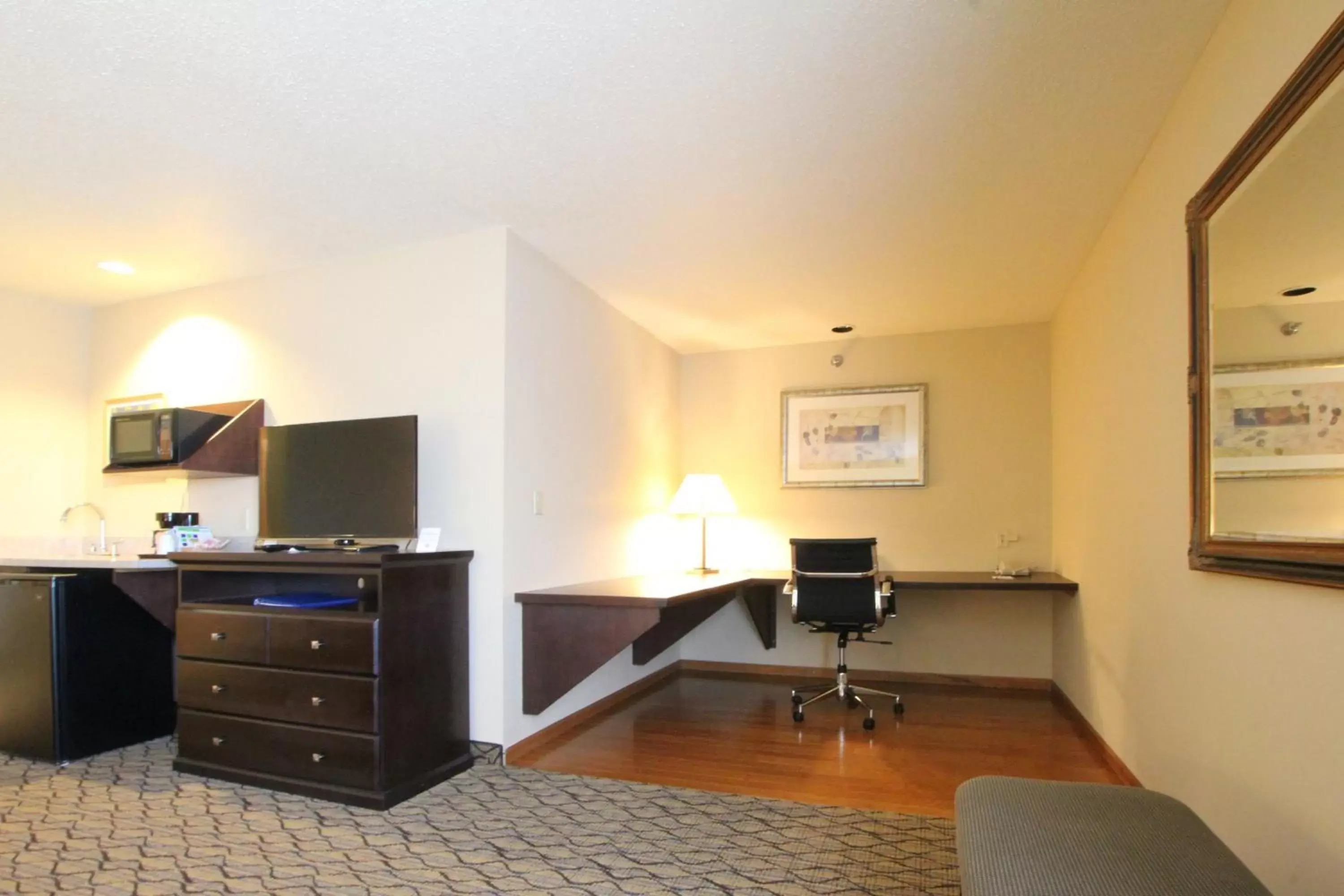 Business facilities, TV/Entertainment Center in Holiday Inn Express & Suites Chicago-Libertyville, an IHG Hotel