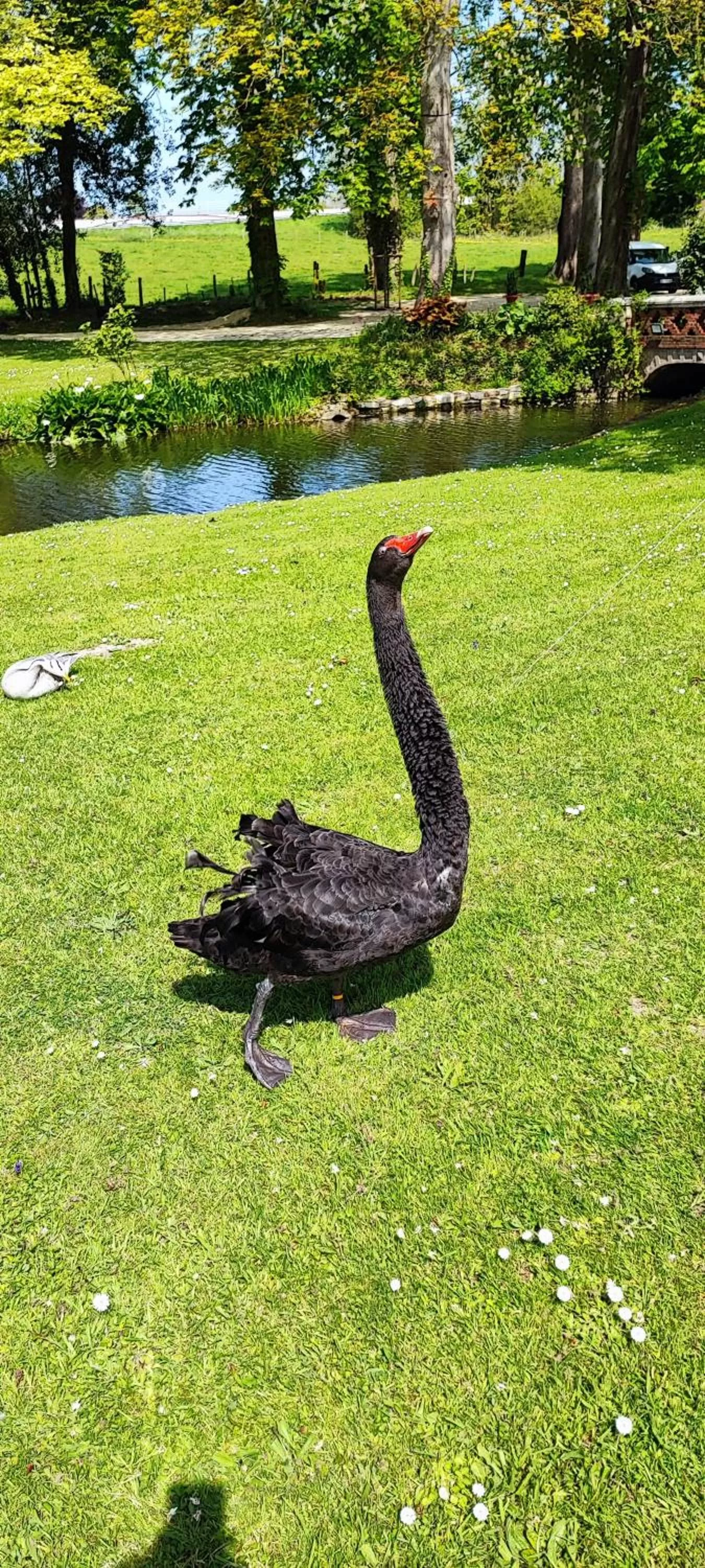 Garden in Château de Bellefontaine - Teritoria