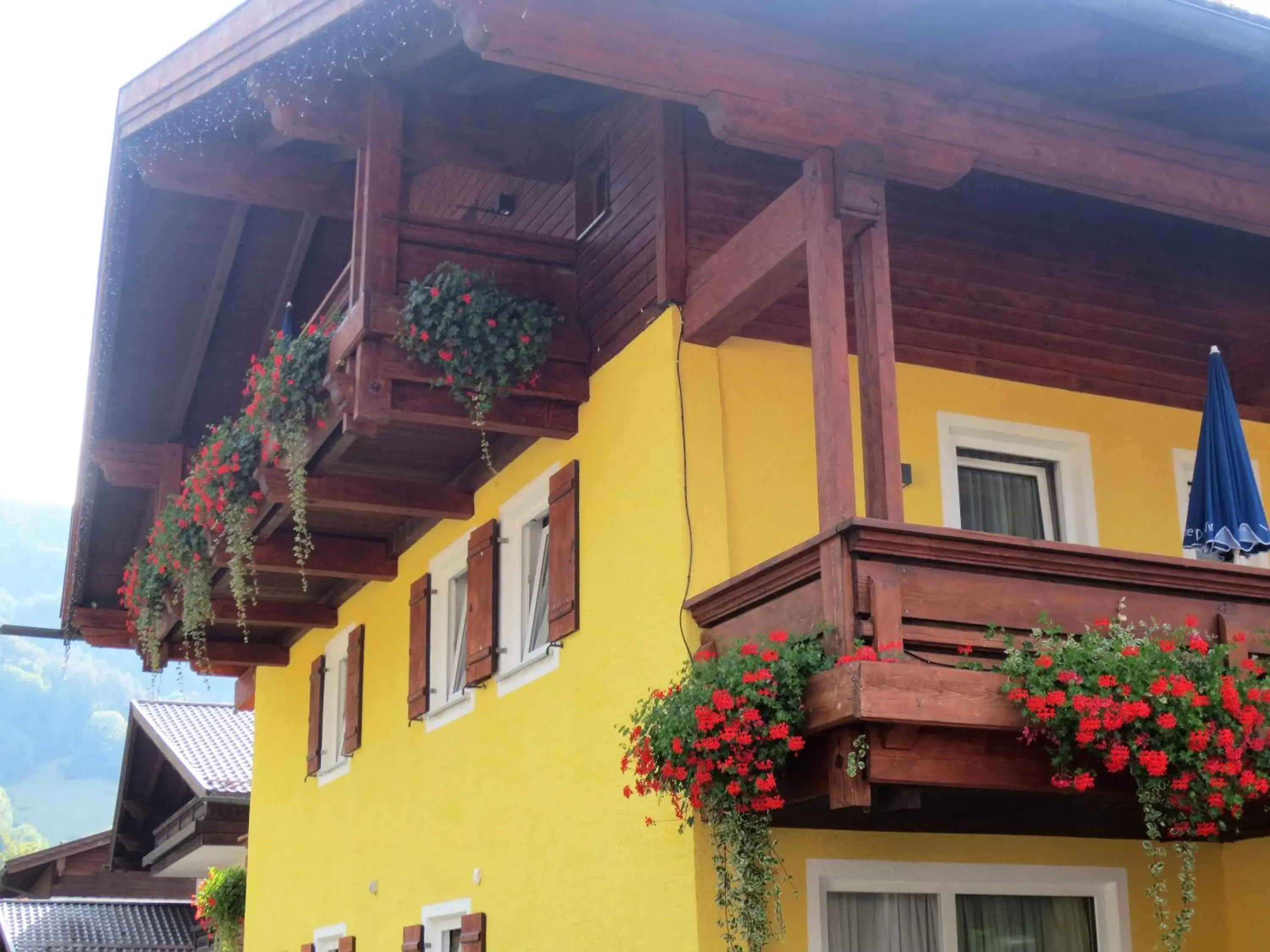 Property Building in Hotel Alp Inn