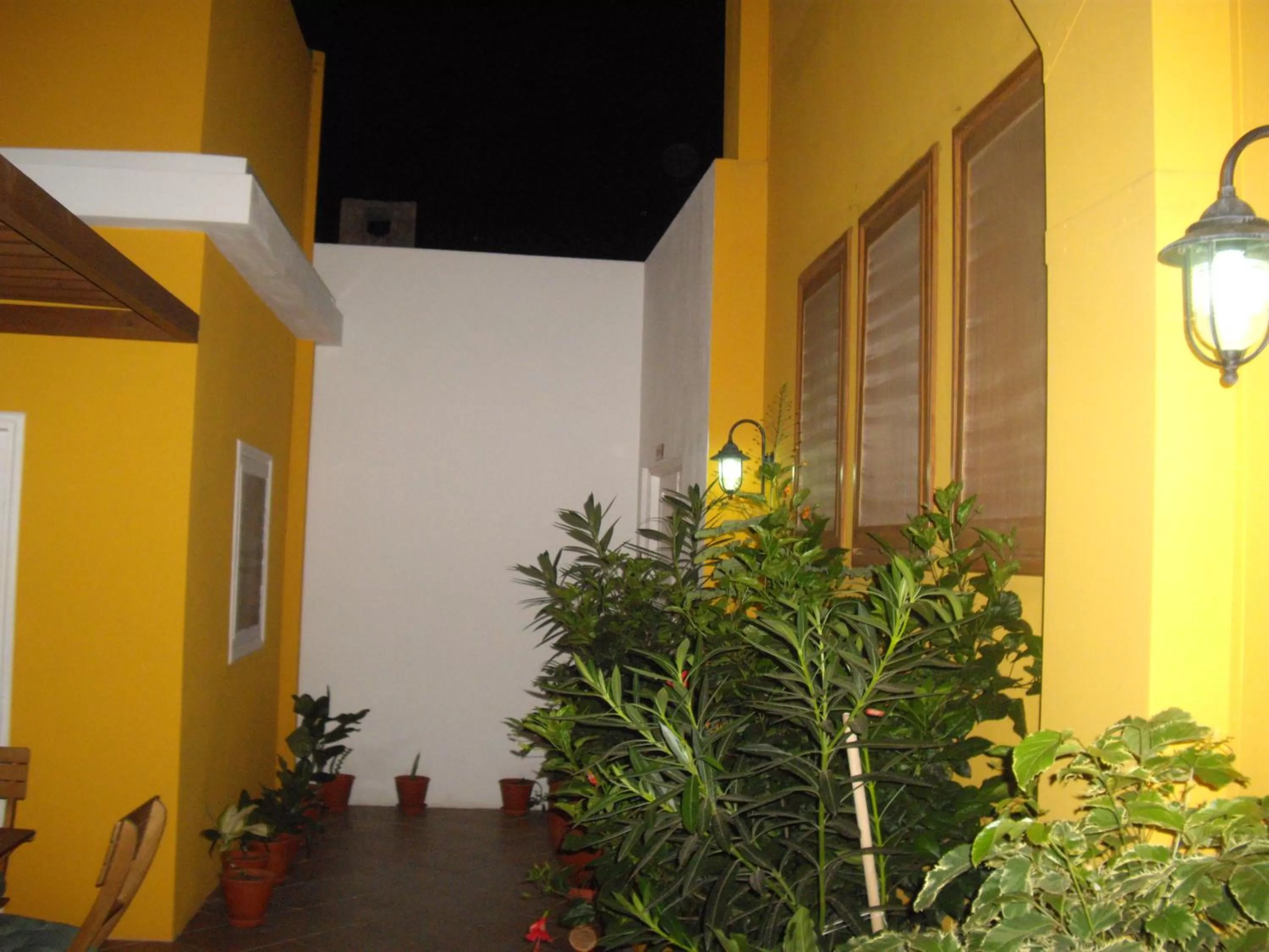 Garden in Kira's Boutique Hotel