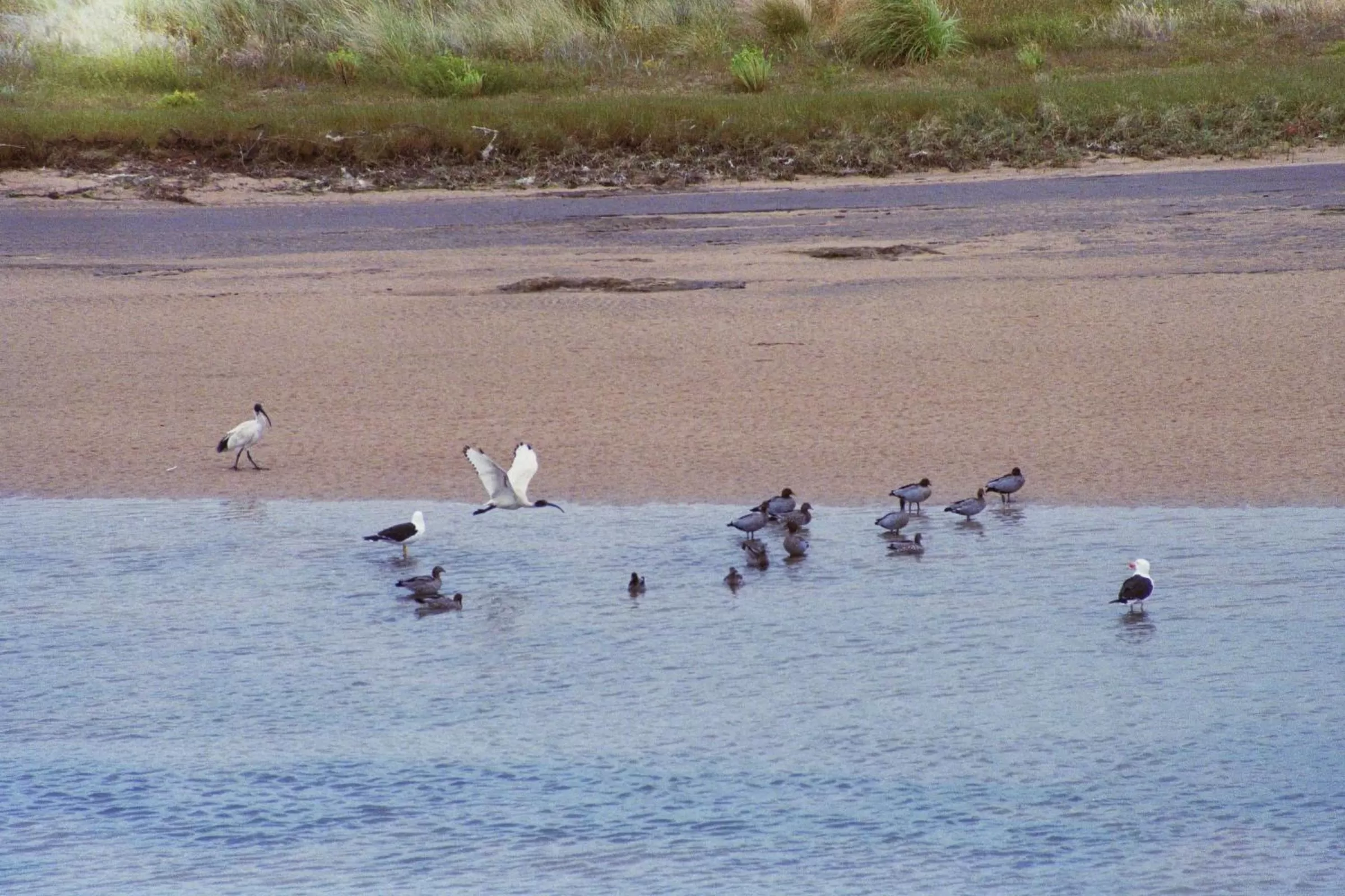 Apollo Bay Guest House