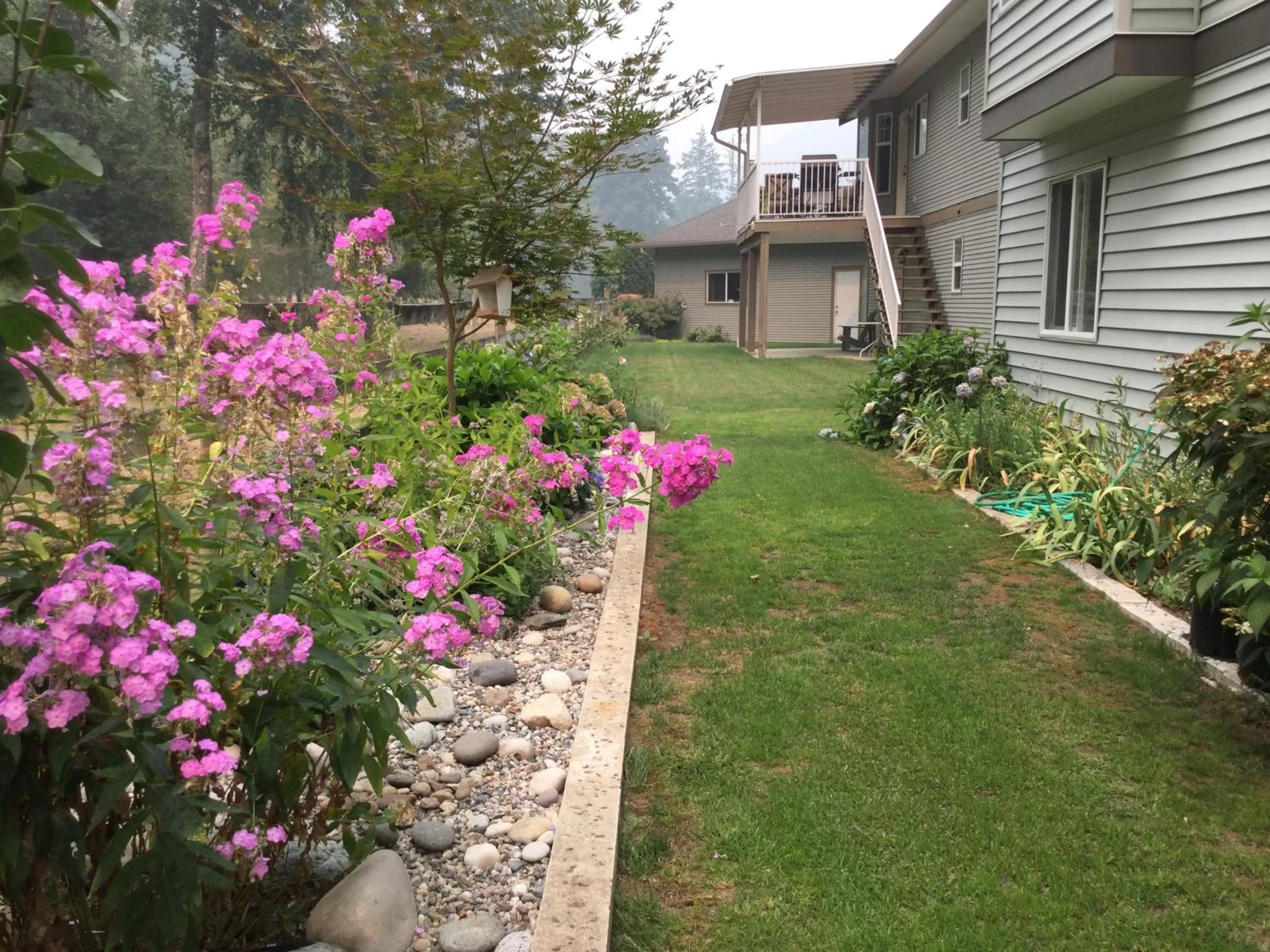 Garden, Property Building in Hope Springs Eternal Bed and Breakfast