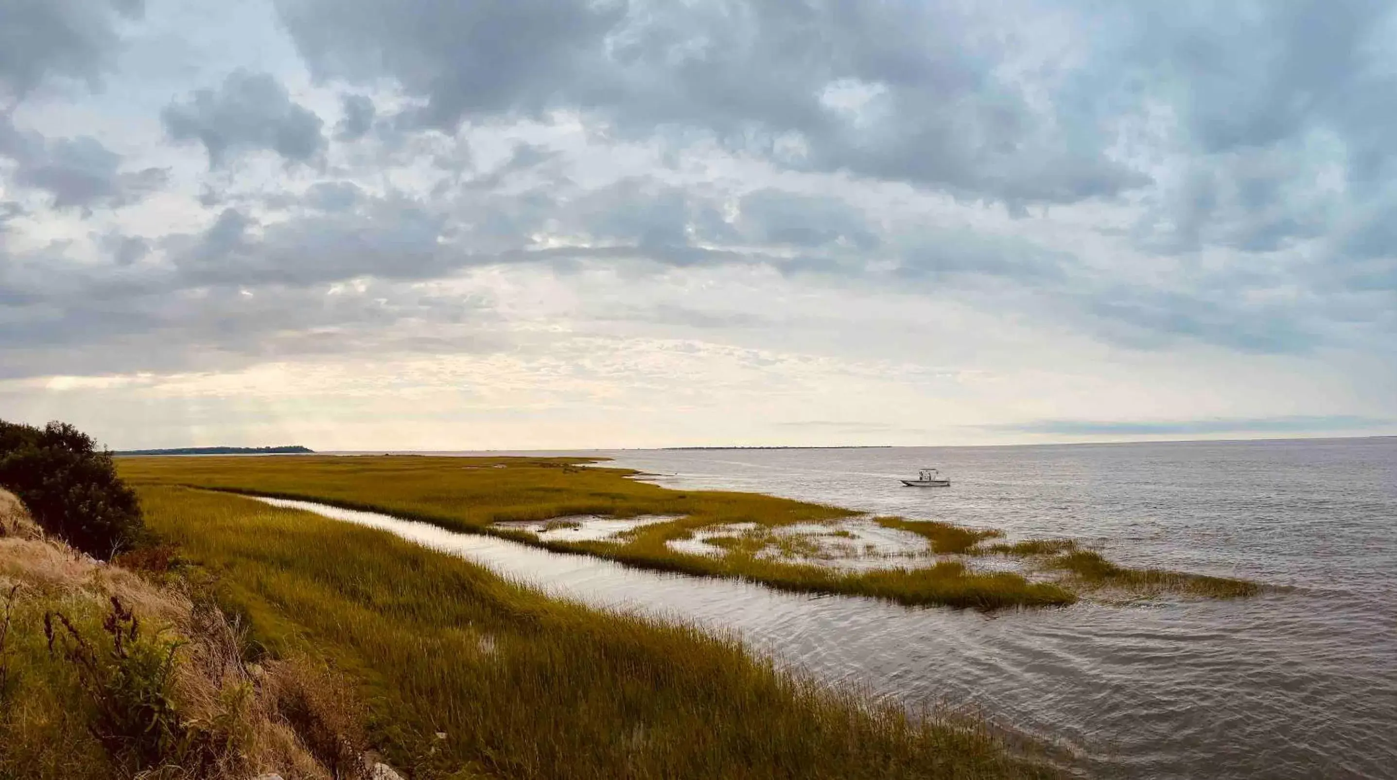 Activities, Natural Landscape in Comfort Suites Chincoteague Island Bayfront Resort