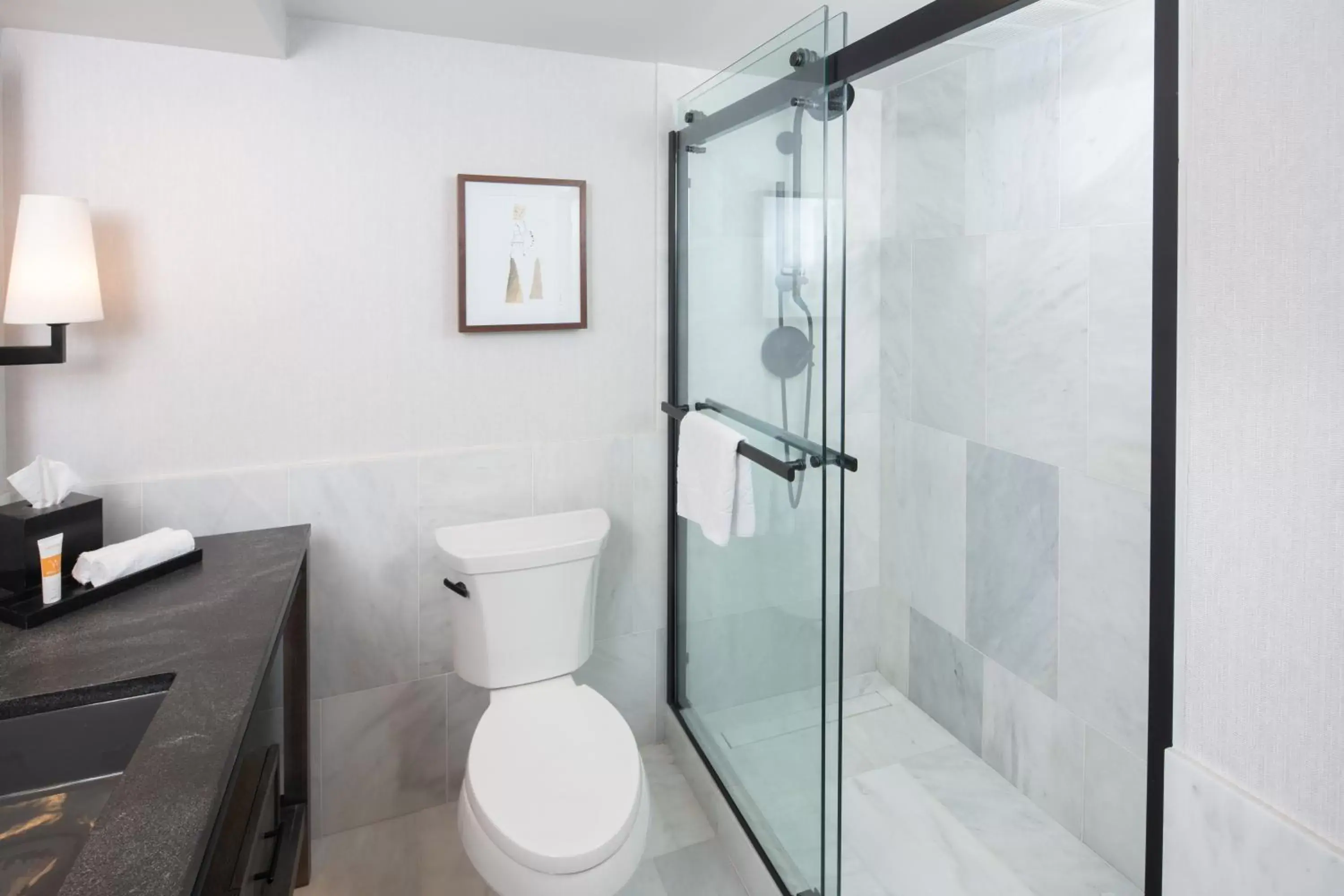 Bathroom in Grand Geneva Resort and Spa