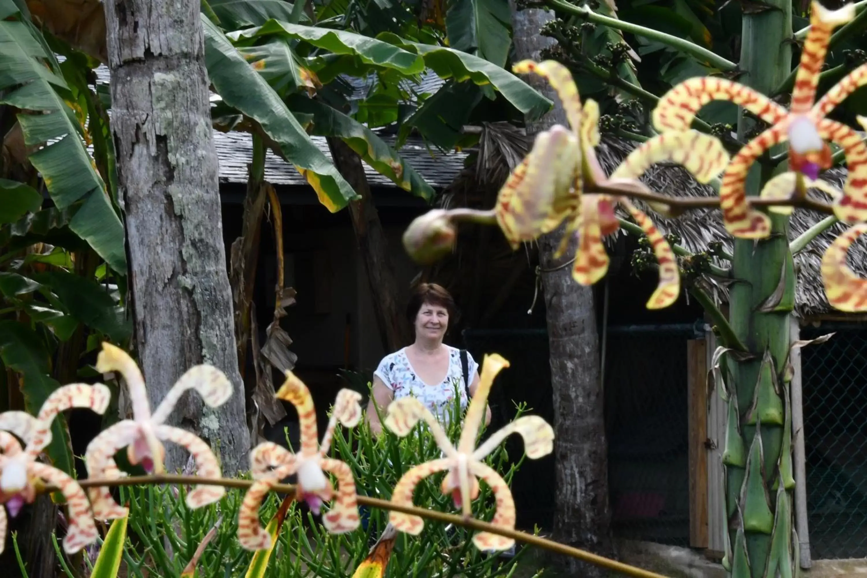 Natural landscape in Hotel Alisei