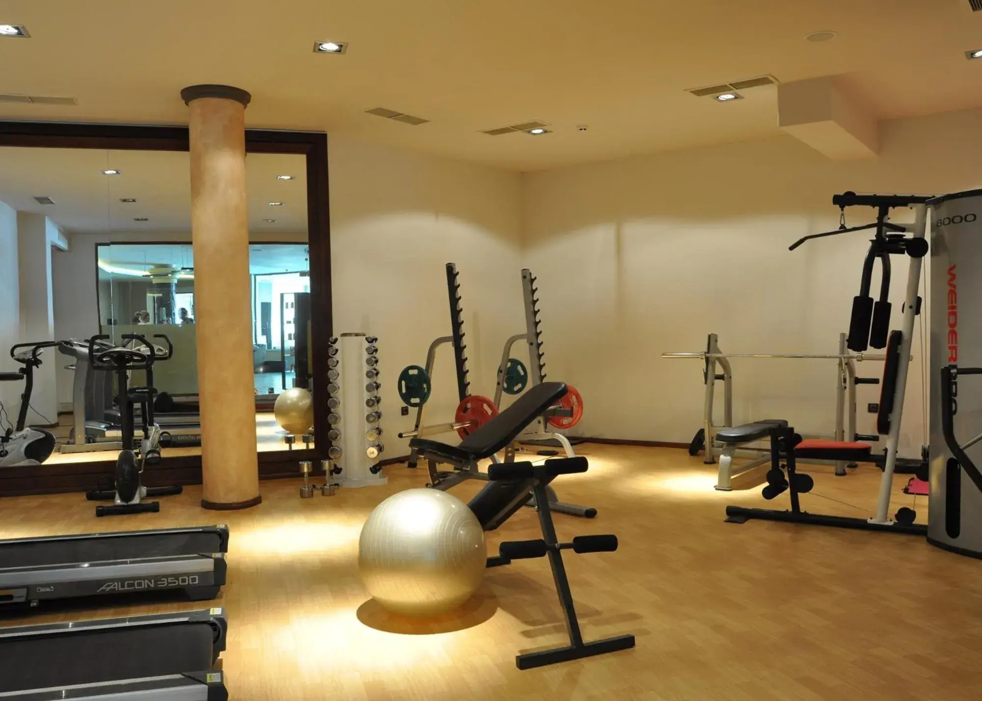 Fitness centre/facilities, Fitness Center/Facilities in Festa Via Pontica