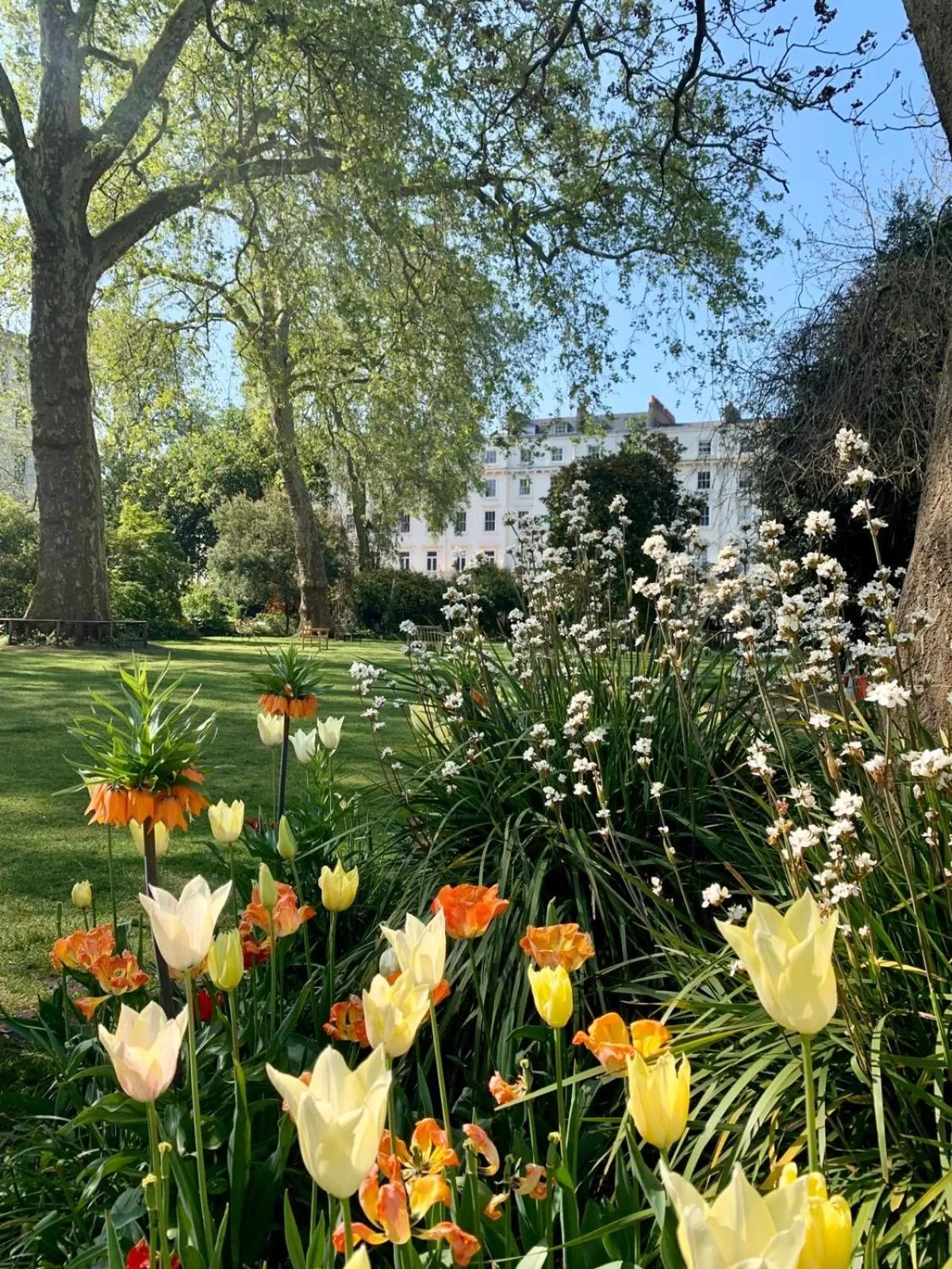 Garden in Eccleston Square Hotel