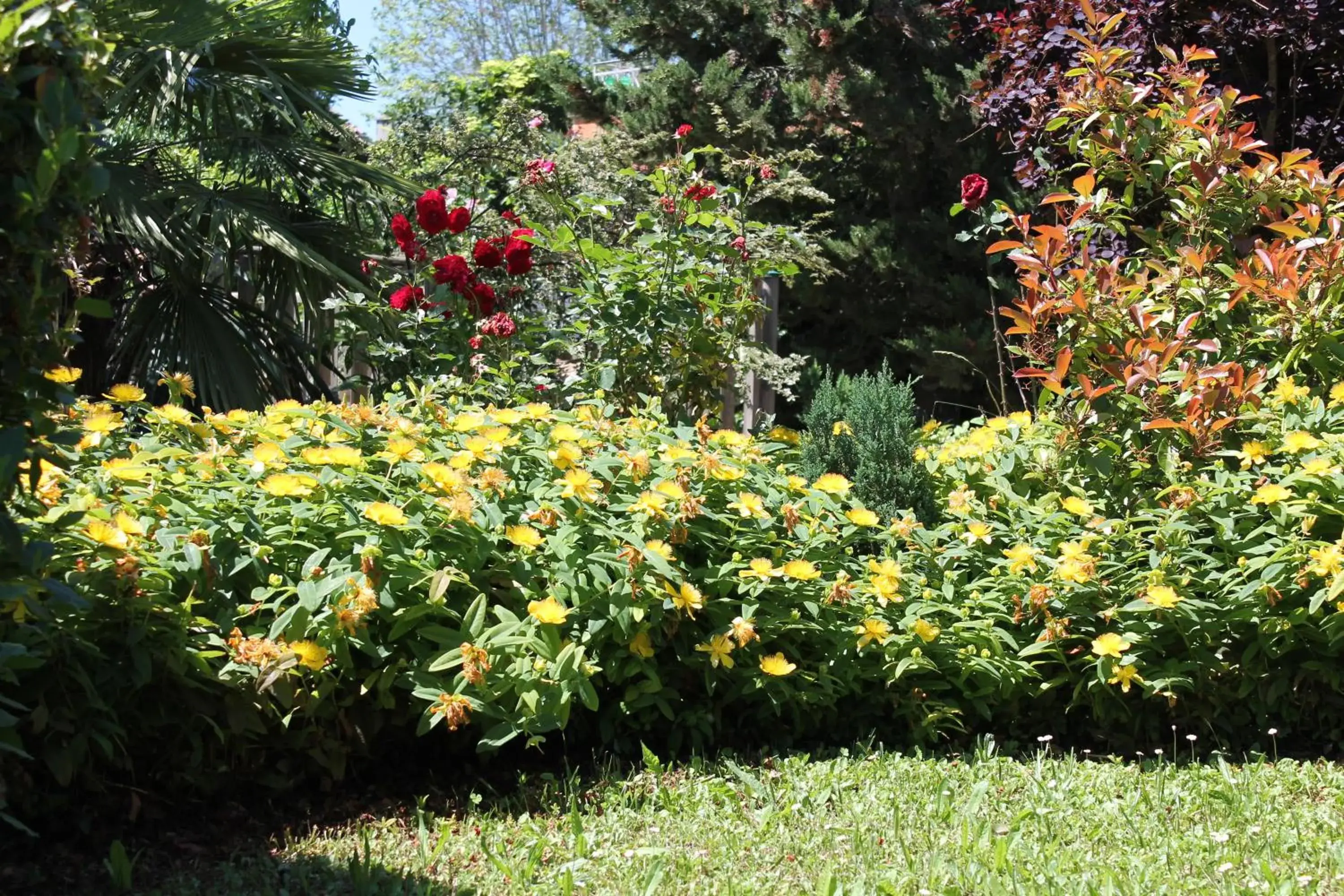 Garden in Logis Auberge de la Tour