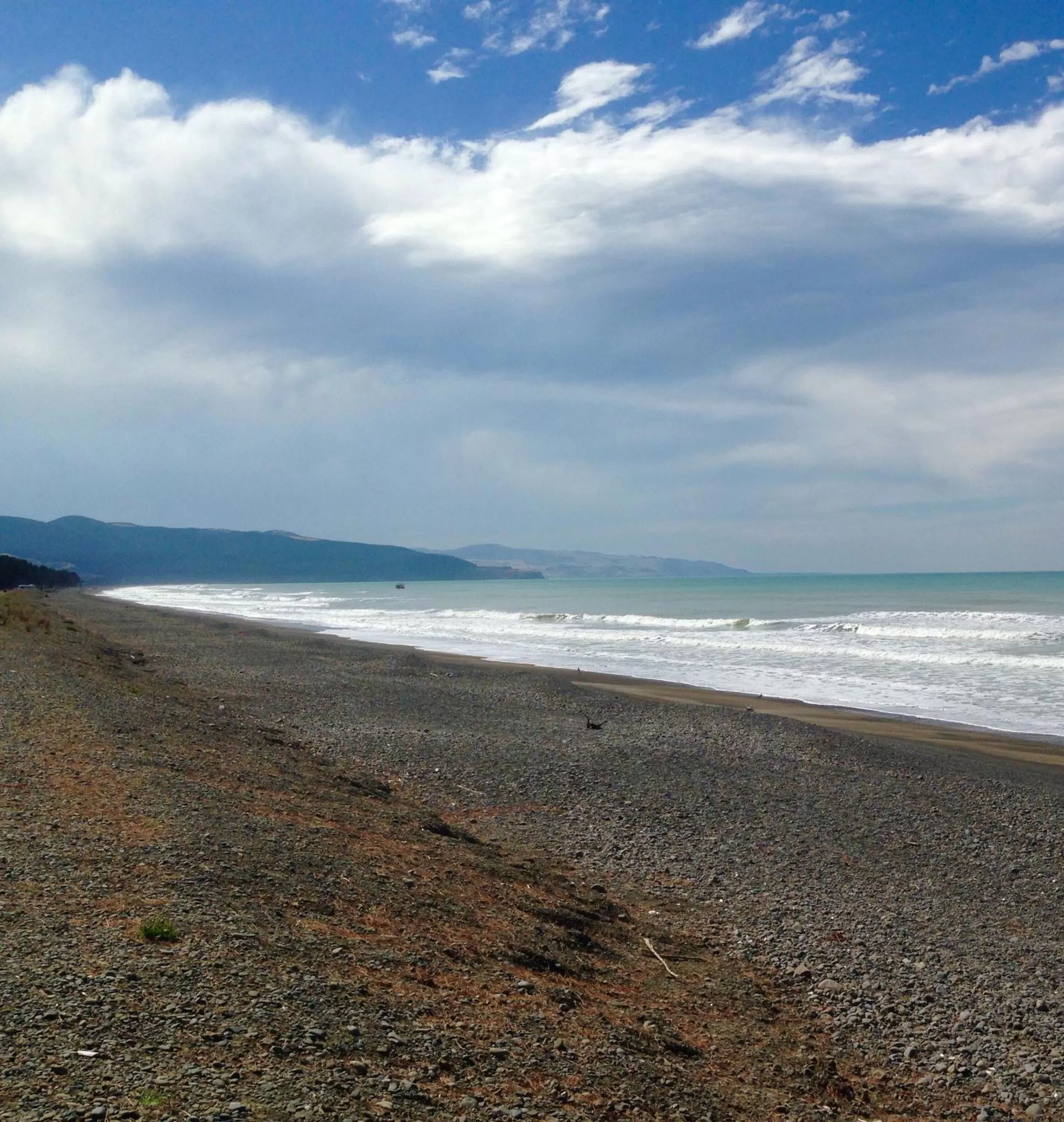 Beach in Teviot View Accommodation