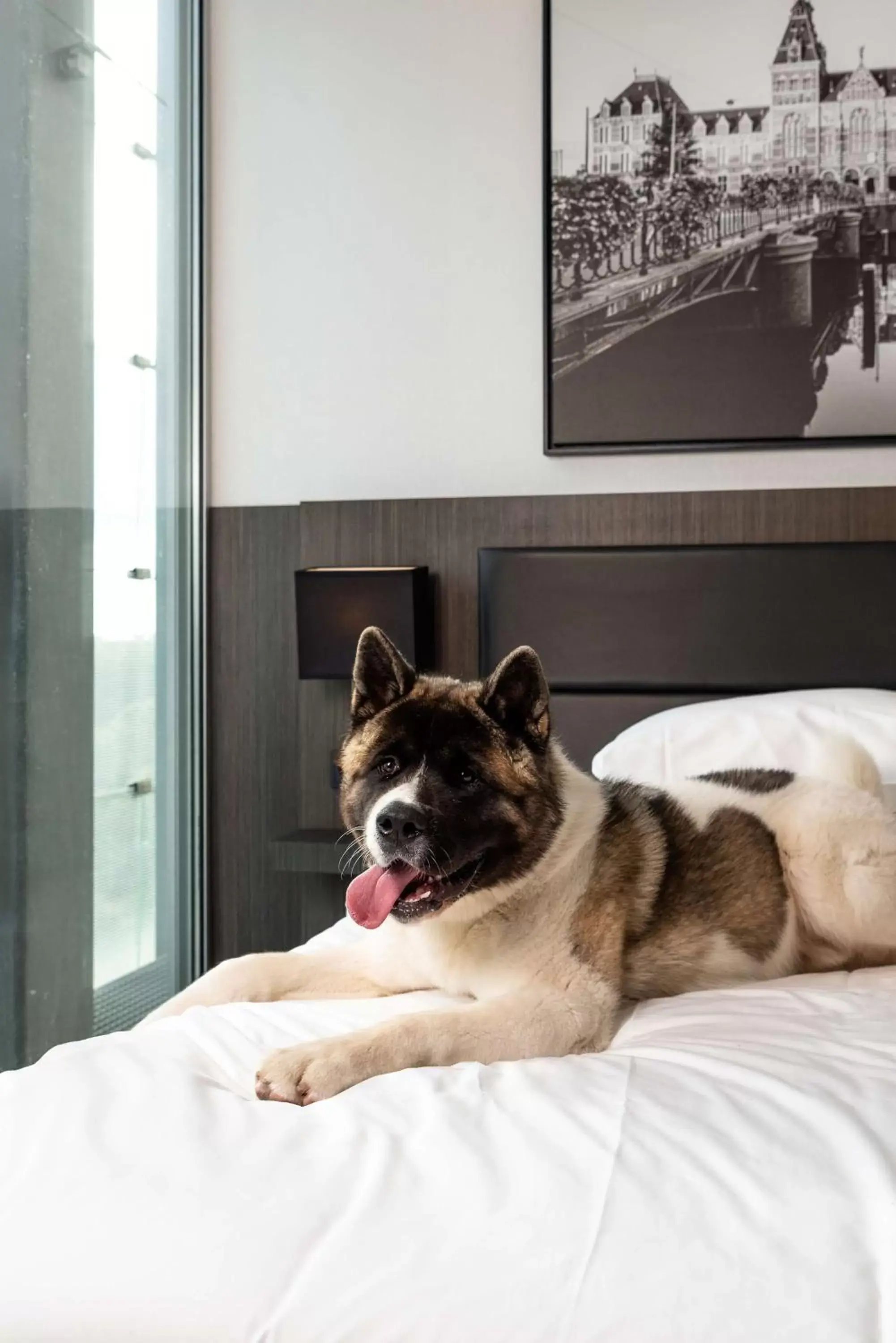 Photo of the whole room, Pets in Radisson Hotel & Suites Amsterdam South