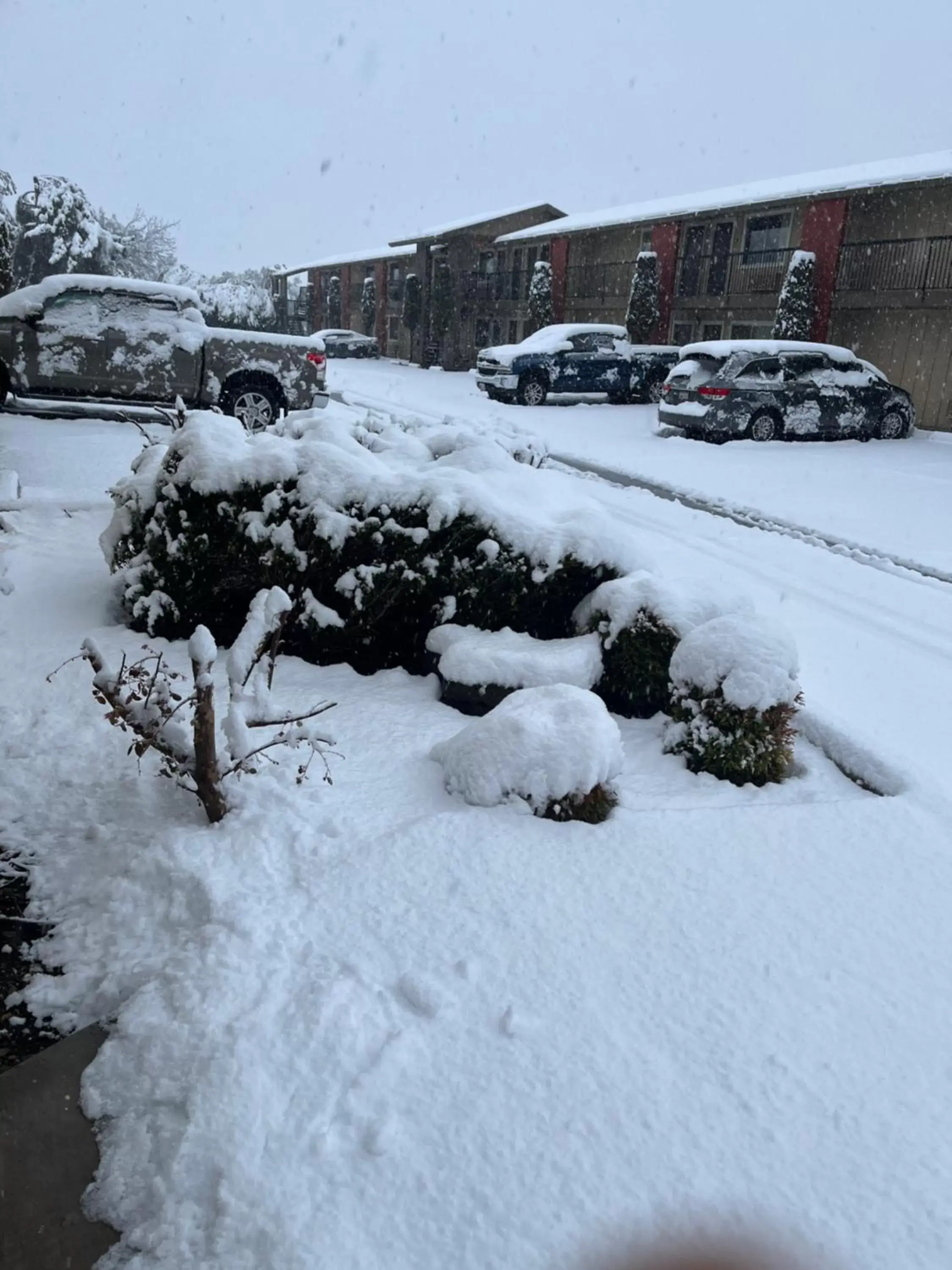 Property building in Super 8 by Wyndham Red Bluff Property building in Super 8 by Wyndham Red Bluff