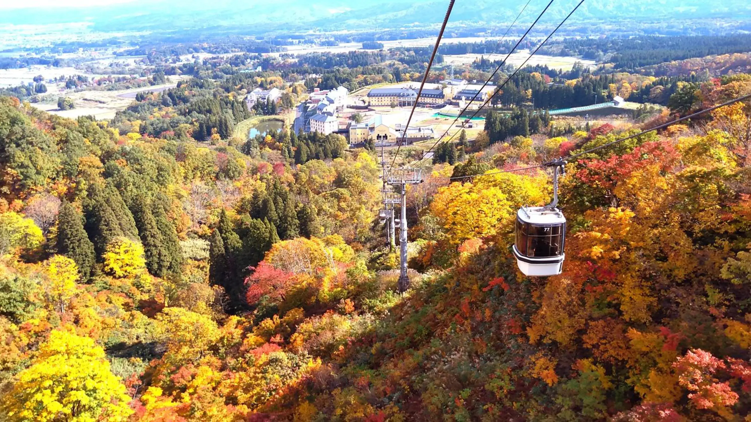 Bird's-eye View in Lotte Arai Resort