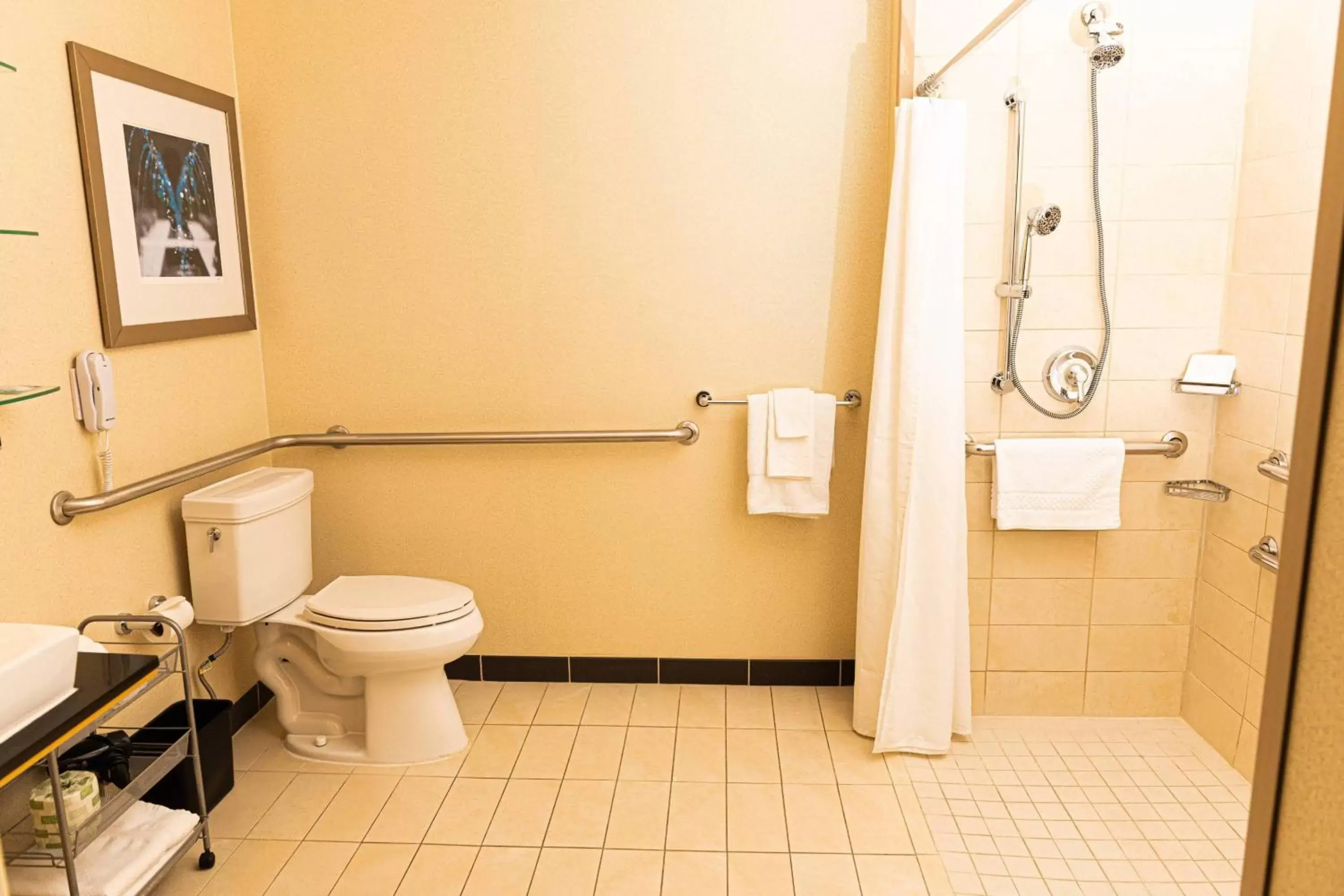 Bathroom in Springhill Suites by Marriott Pueblo Downtown