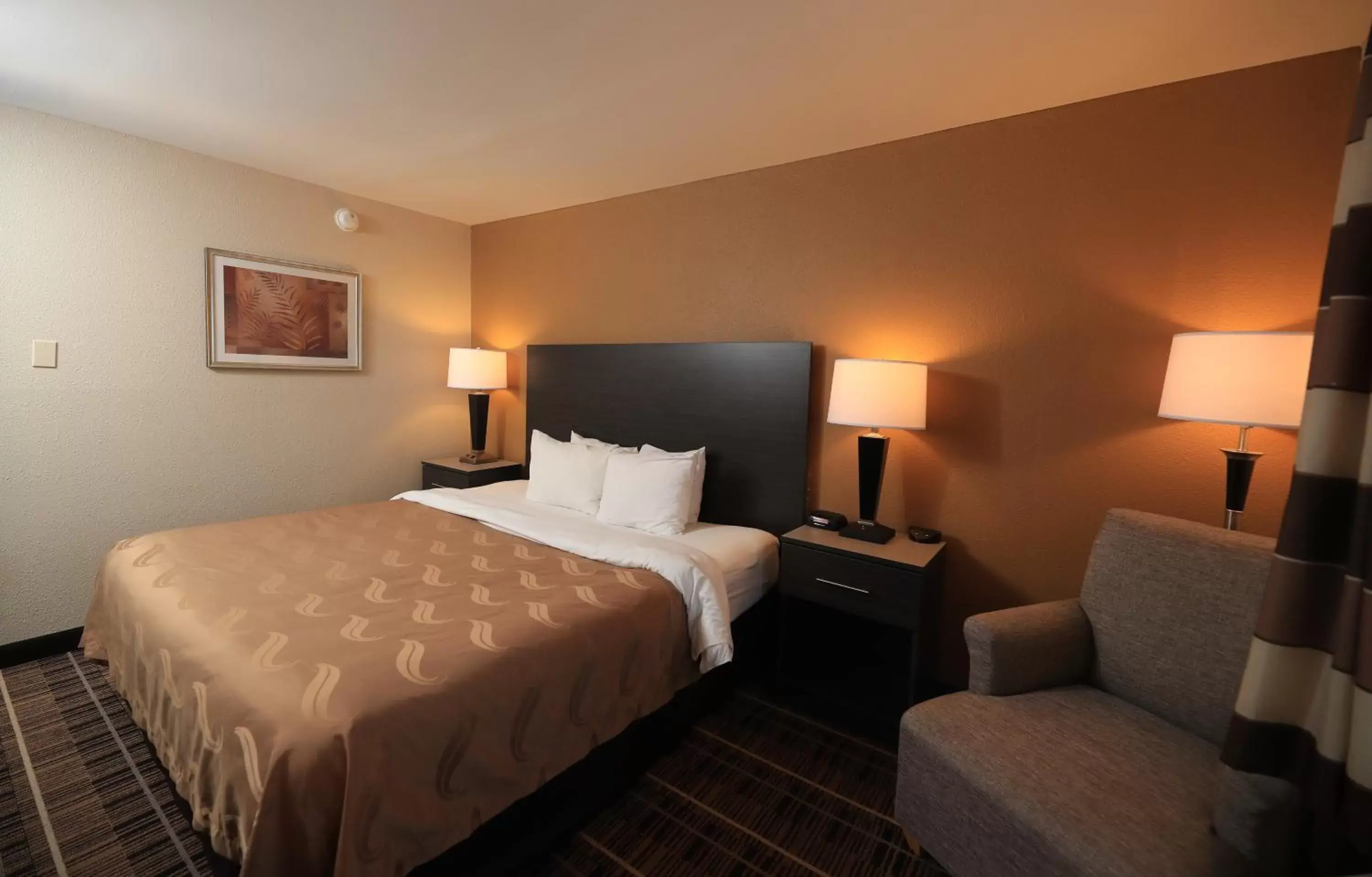 Bedroom, Bed in Quality Inn DFW Airport North - Irving