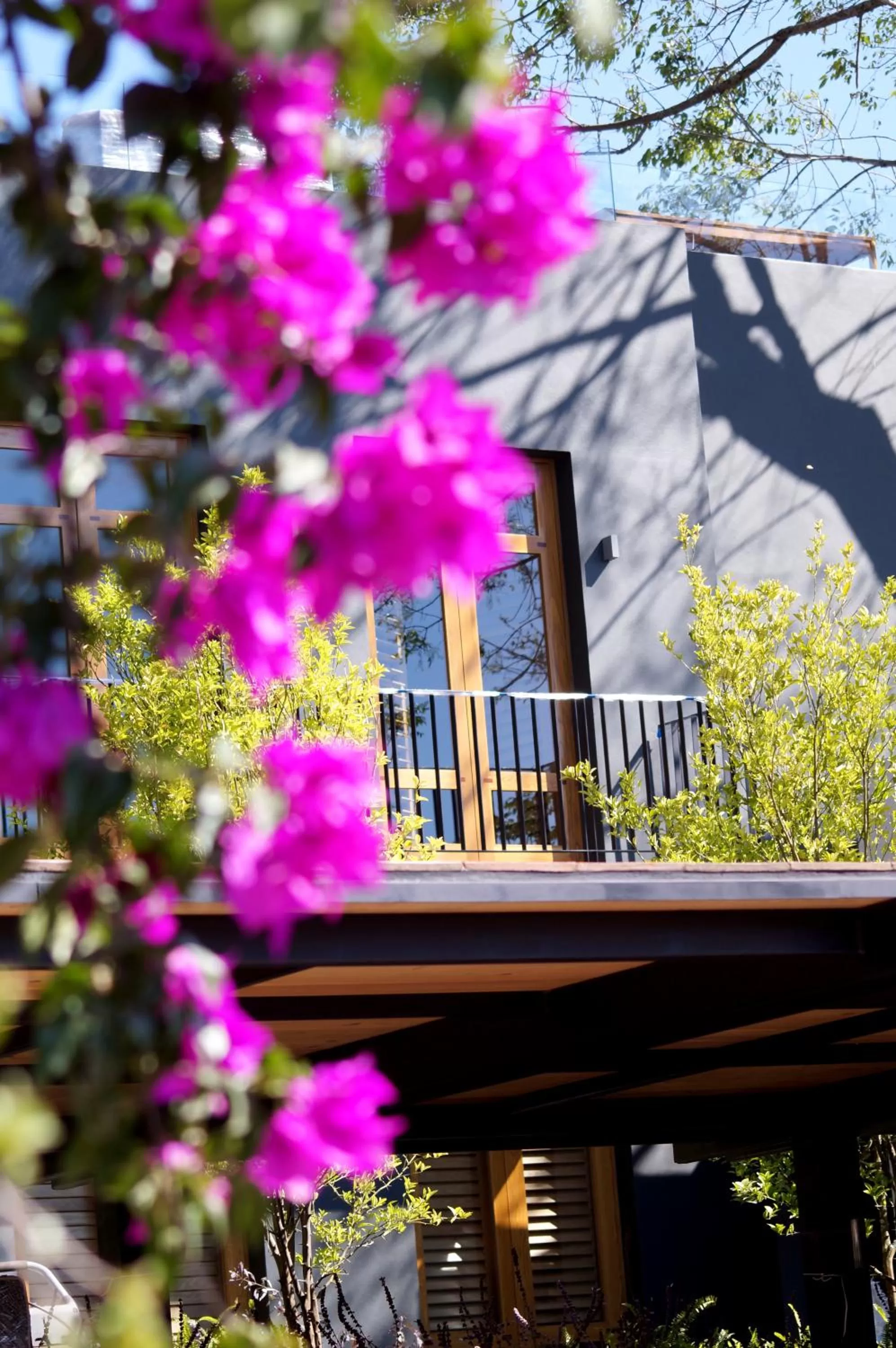 Garden in La Casa Rodavento