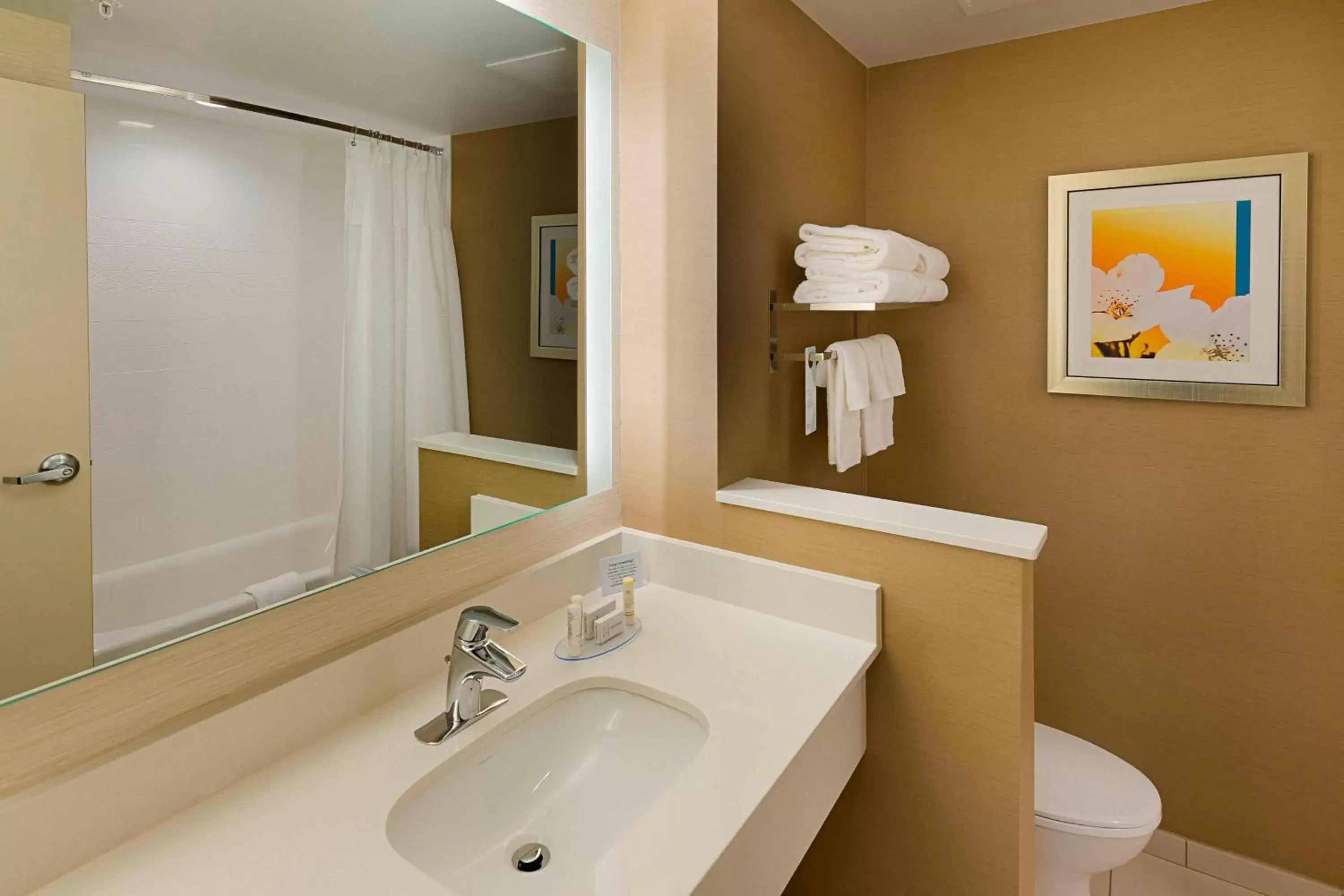 Bathroom in Fairfield Inn & Suites by Marriott Abingdon