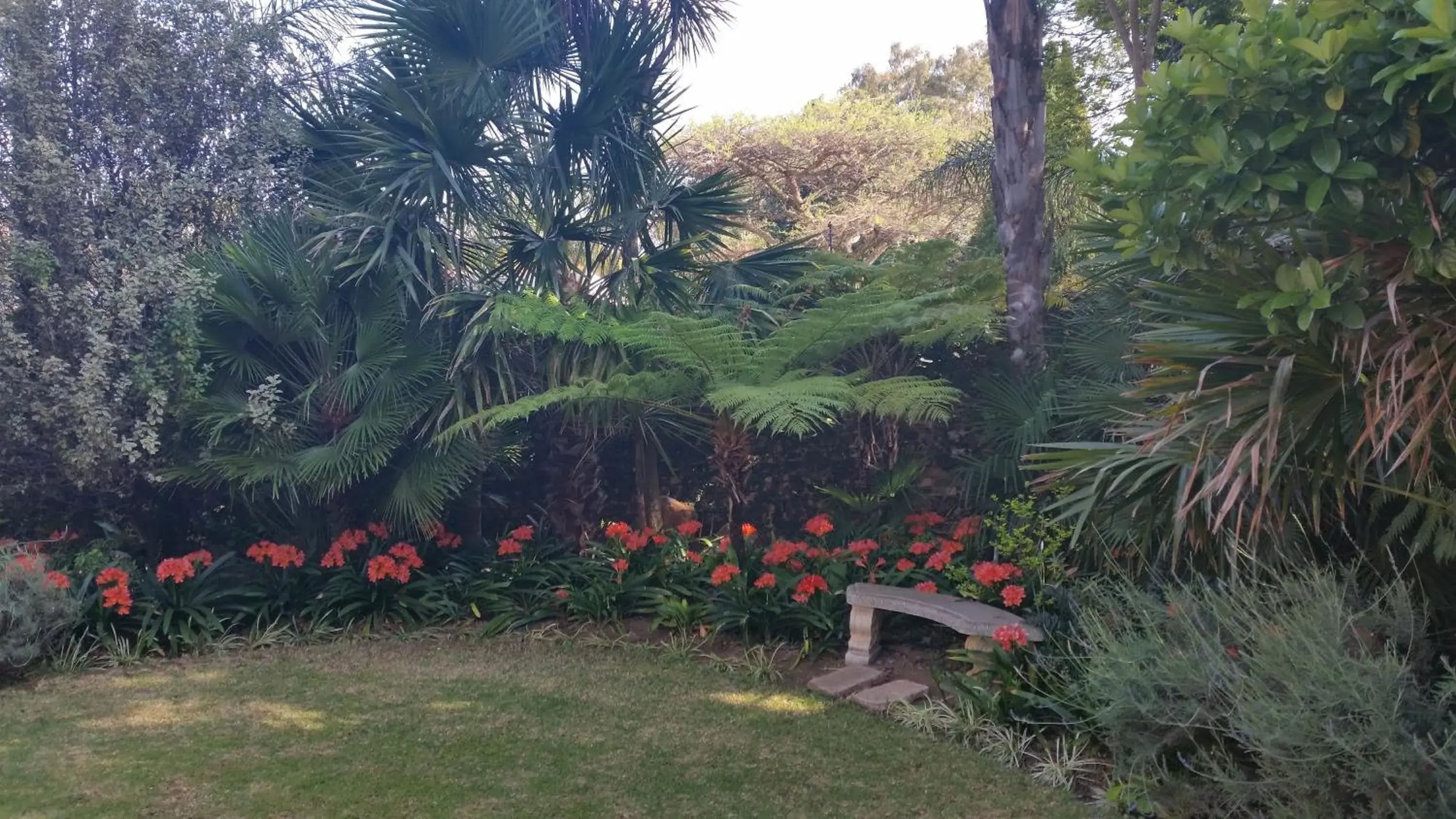 Garden in Royal Ridge Guesthouse