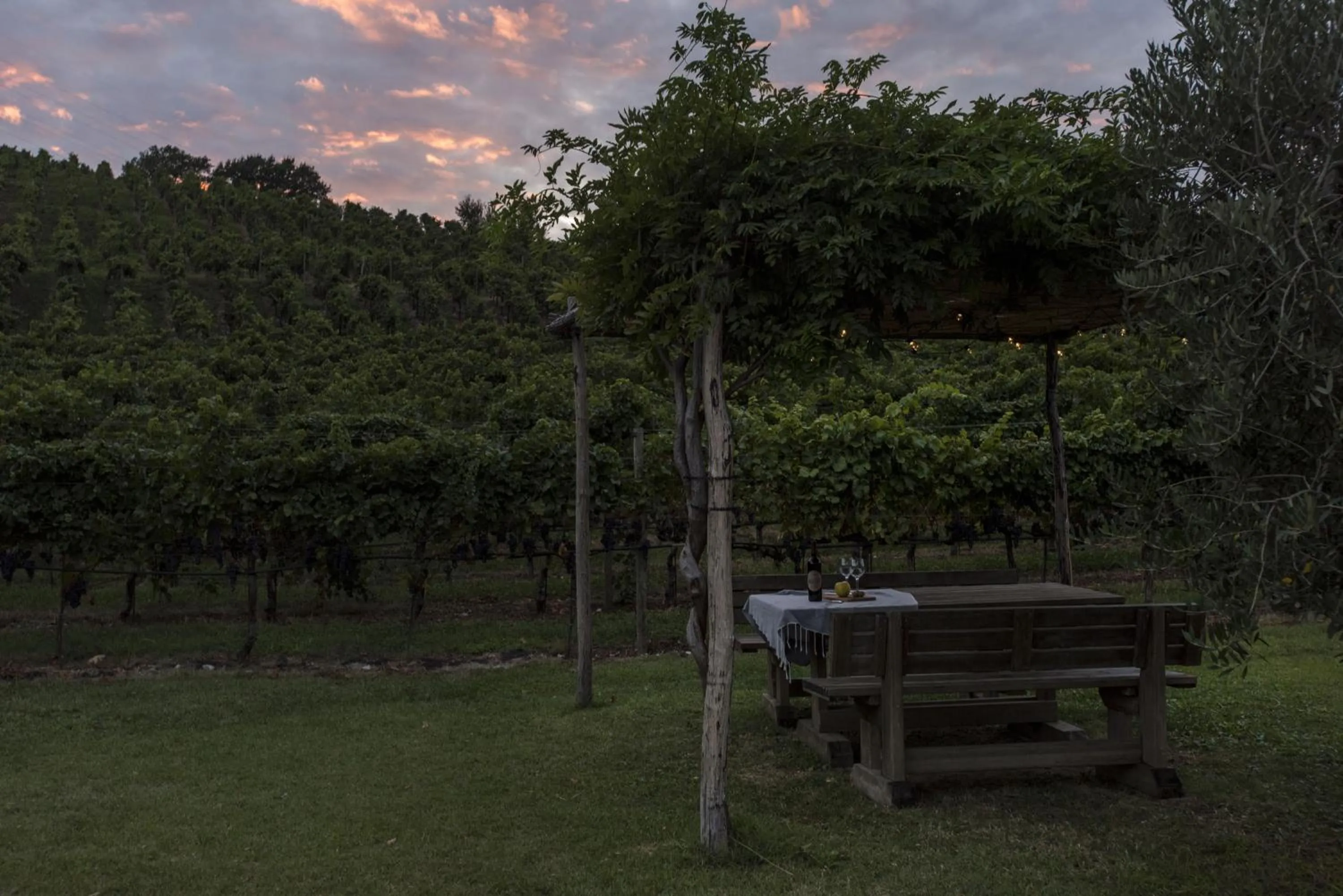 Spring in Residence La Vigna