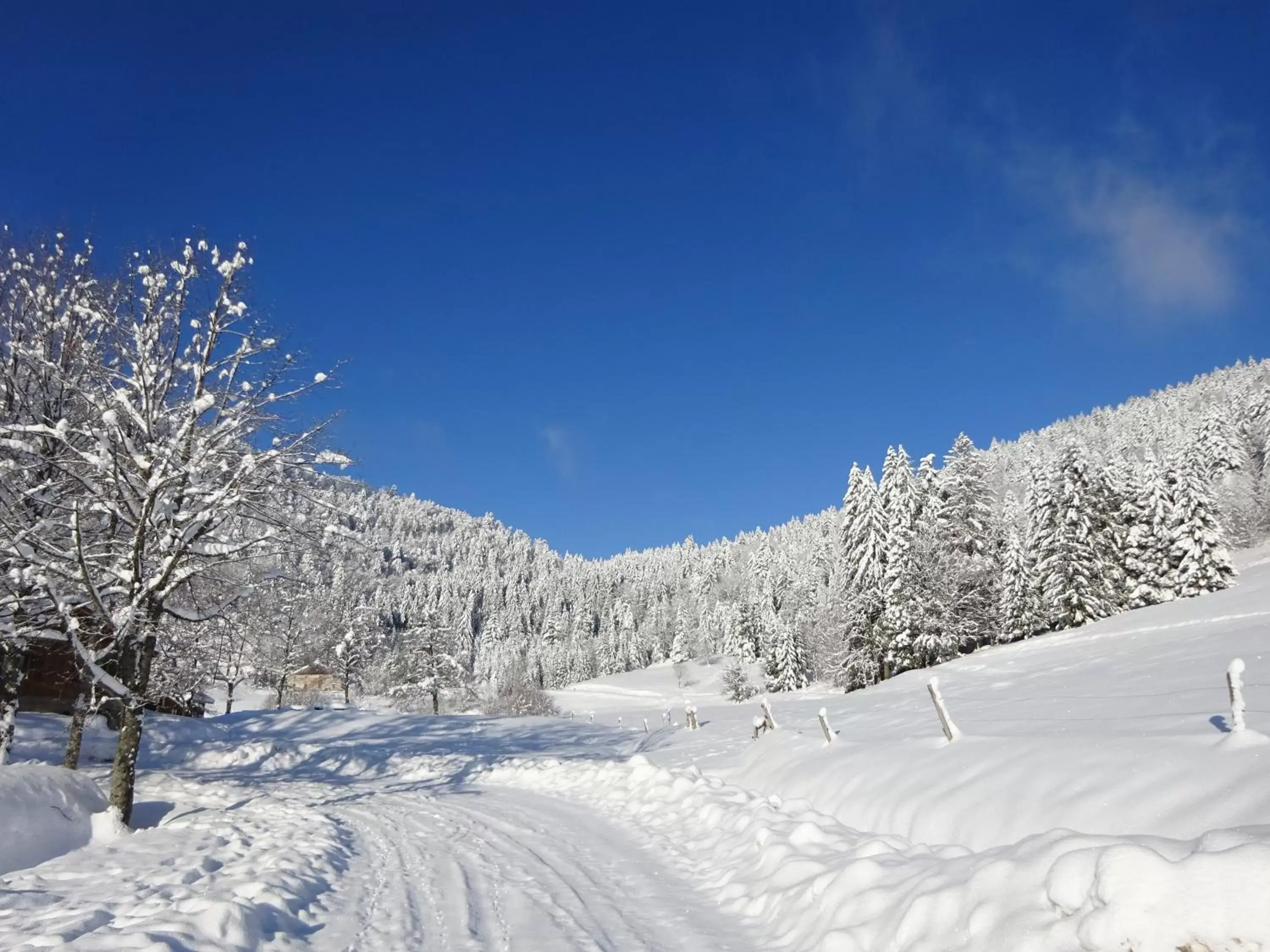 Winter in Les Sapins
