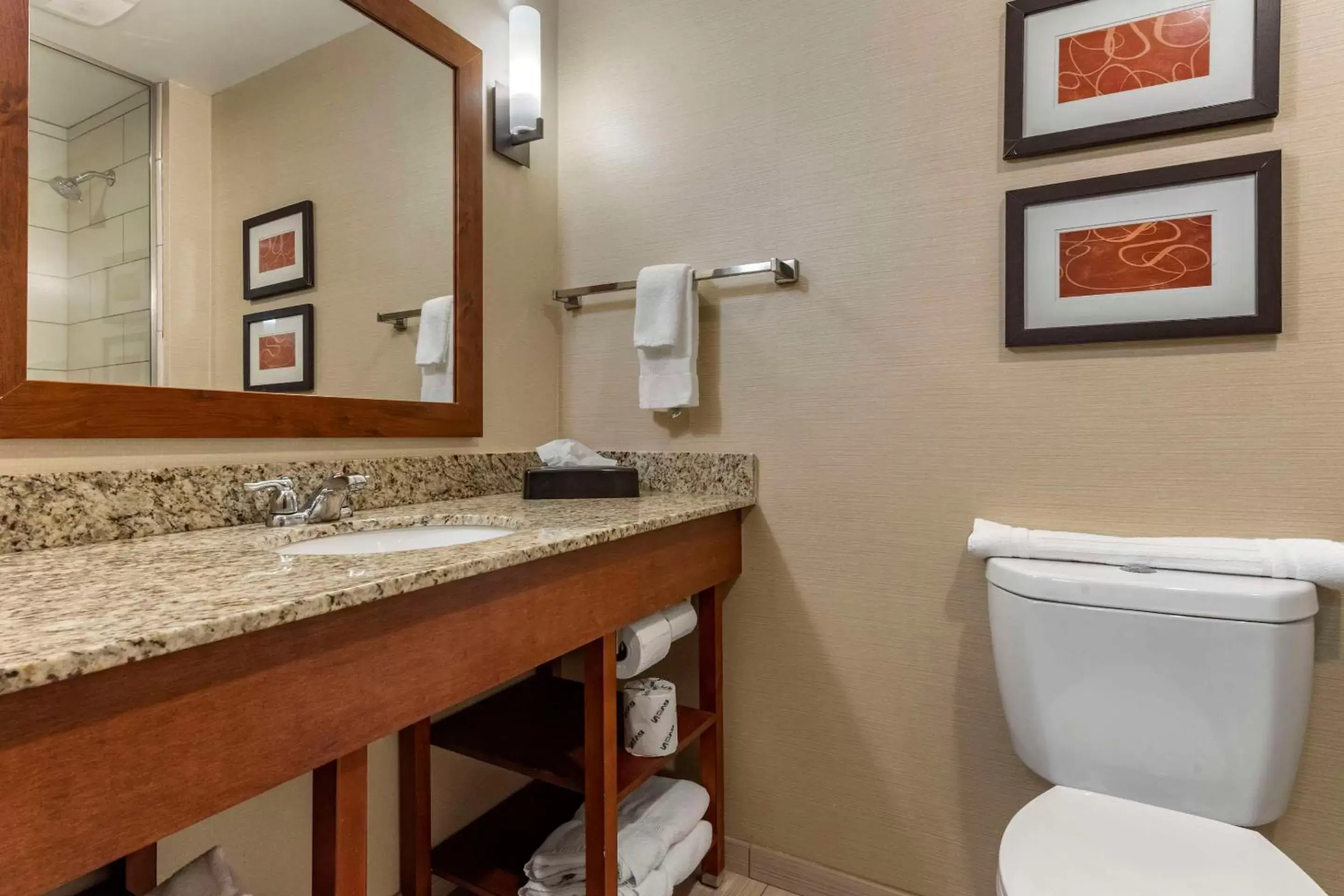 Bedroom, Bathroom in Comfort Suites Bridgeport - Clarksburg