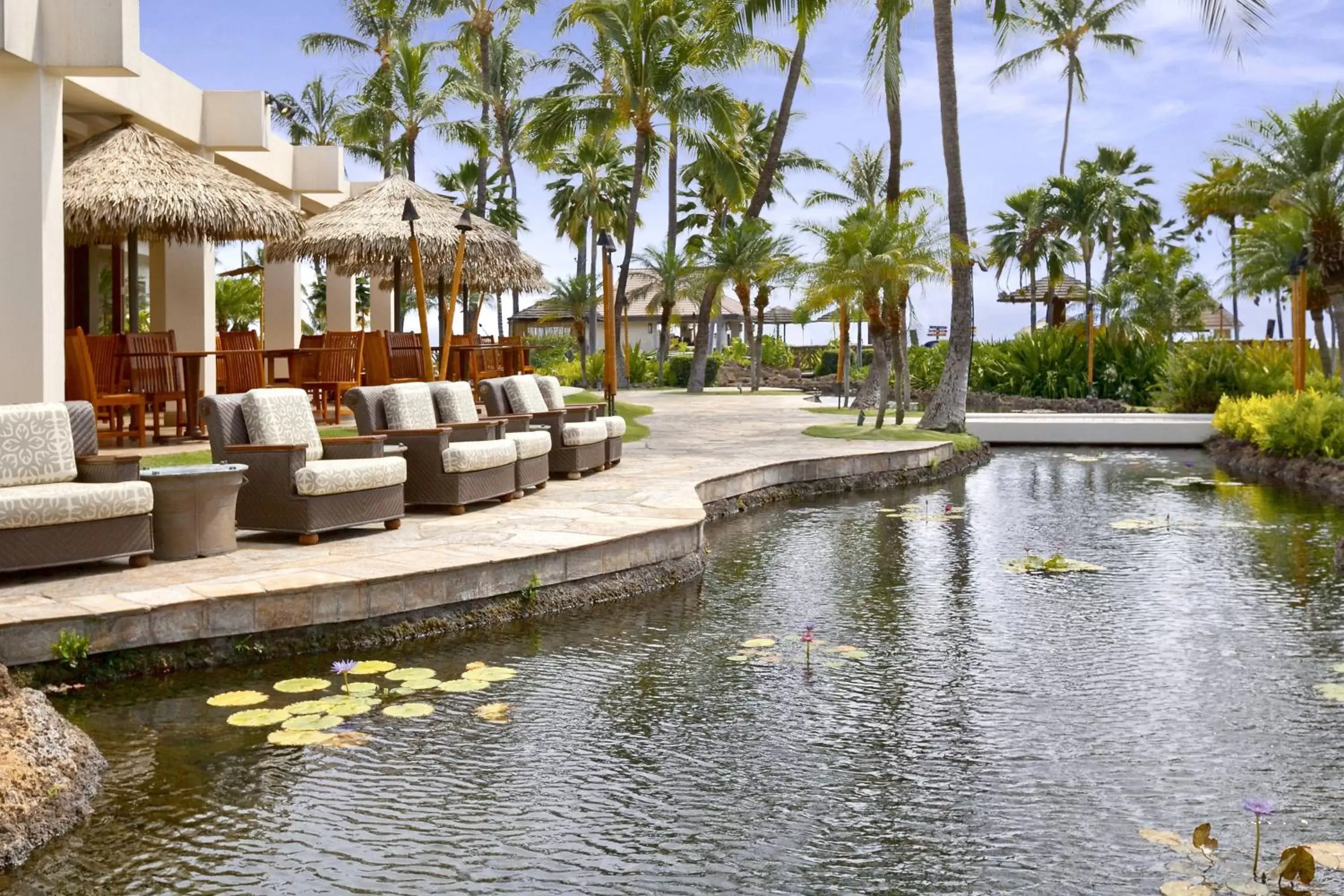 Other, Swimming Pool in Sheraton Maui Resort & Spa