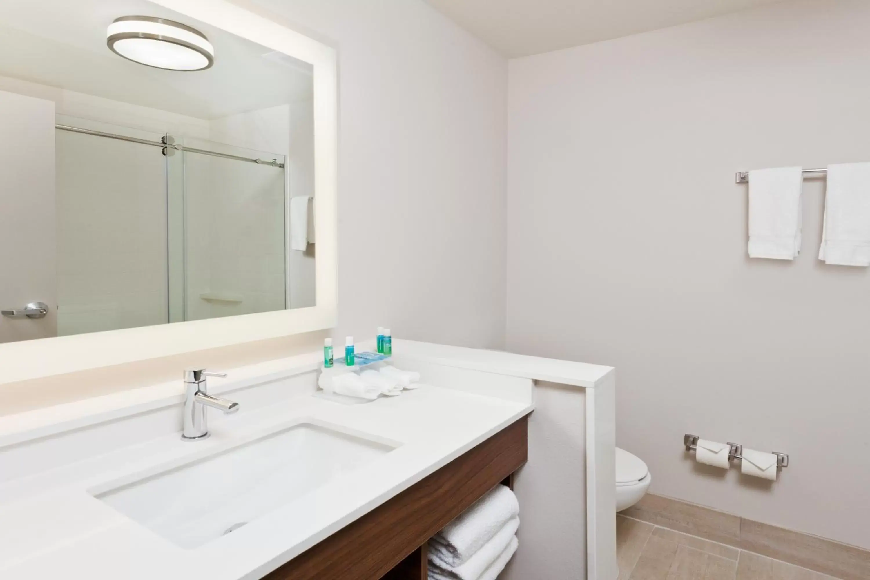 Bathroom in Holiday Inn Express & Suites - Cartersville, an IHG Hotel